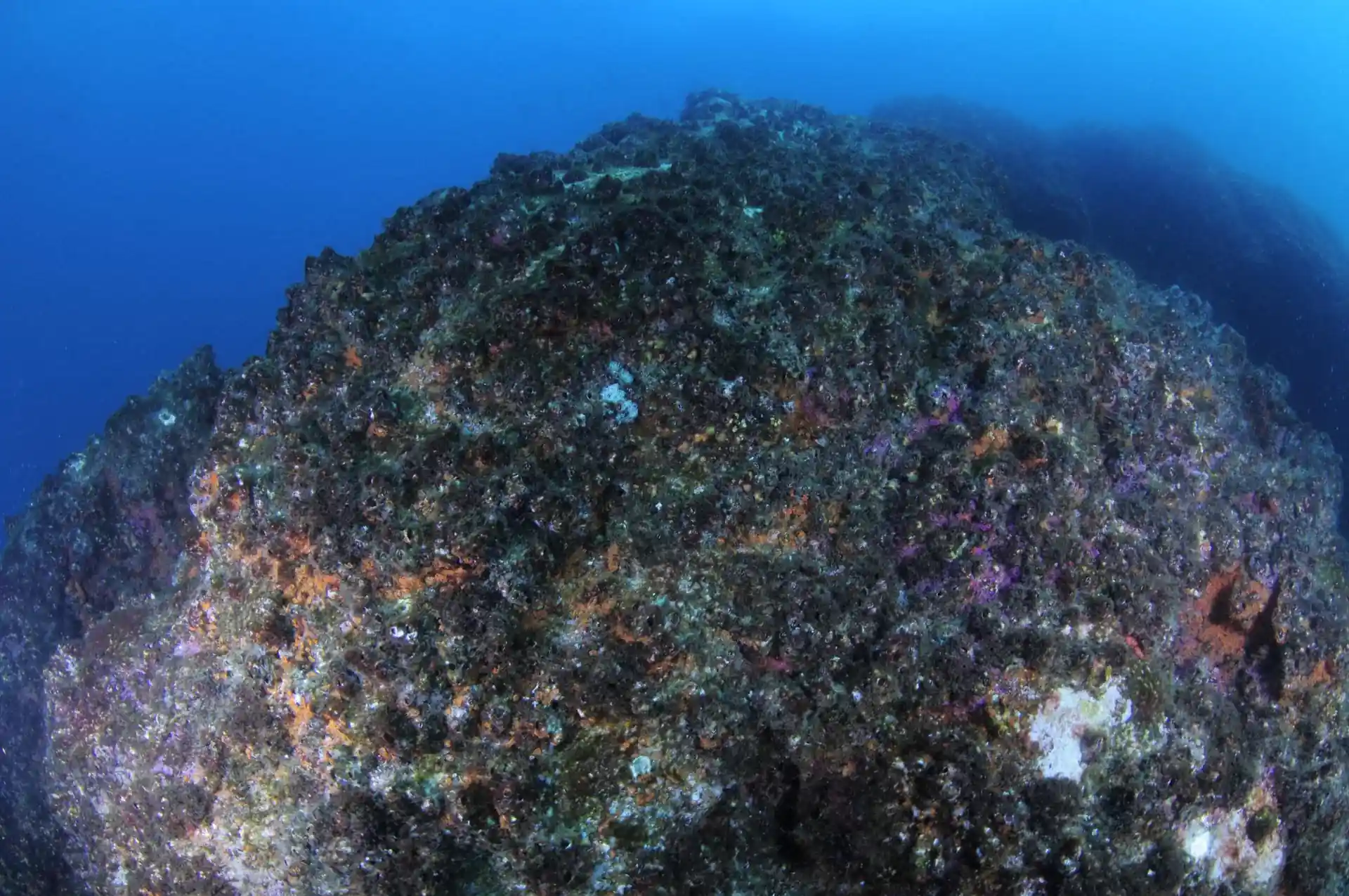 Dive site photo