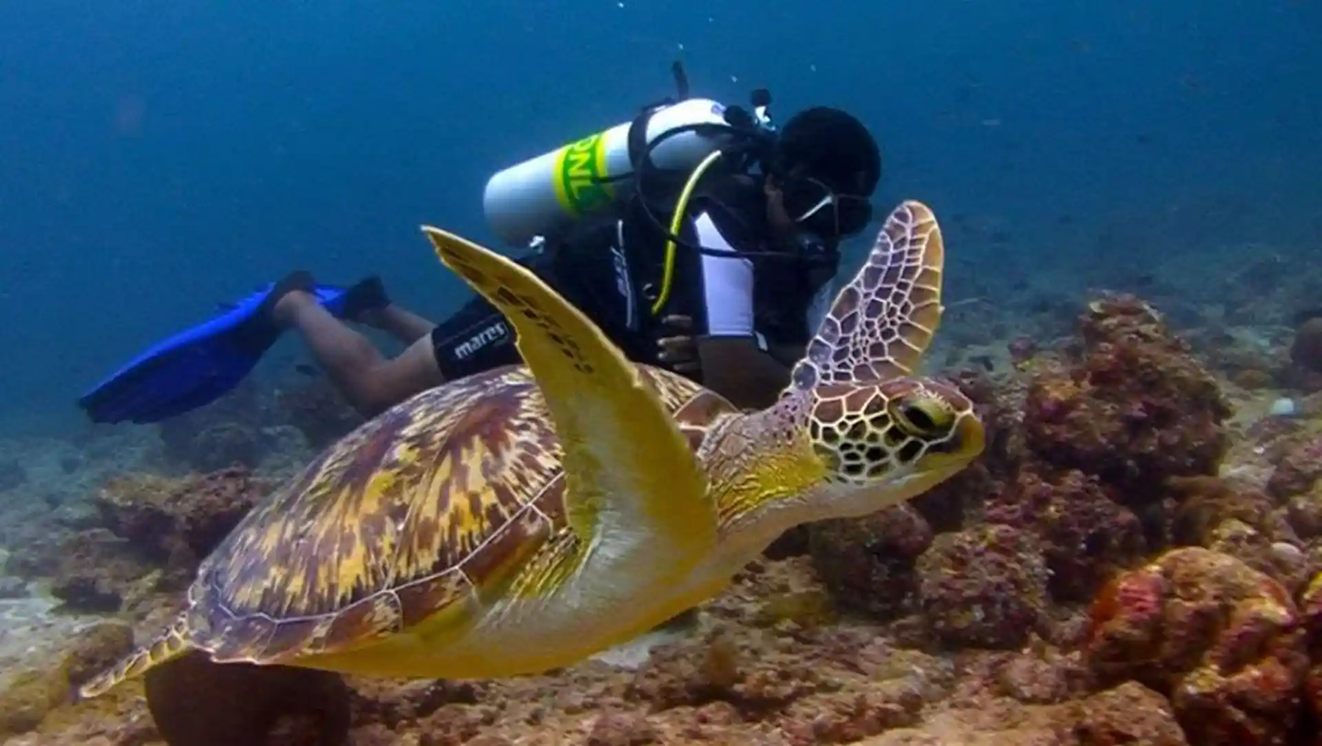 Dive shop photo