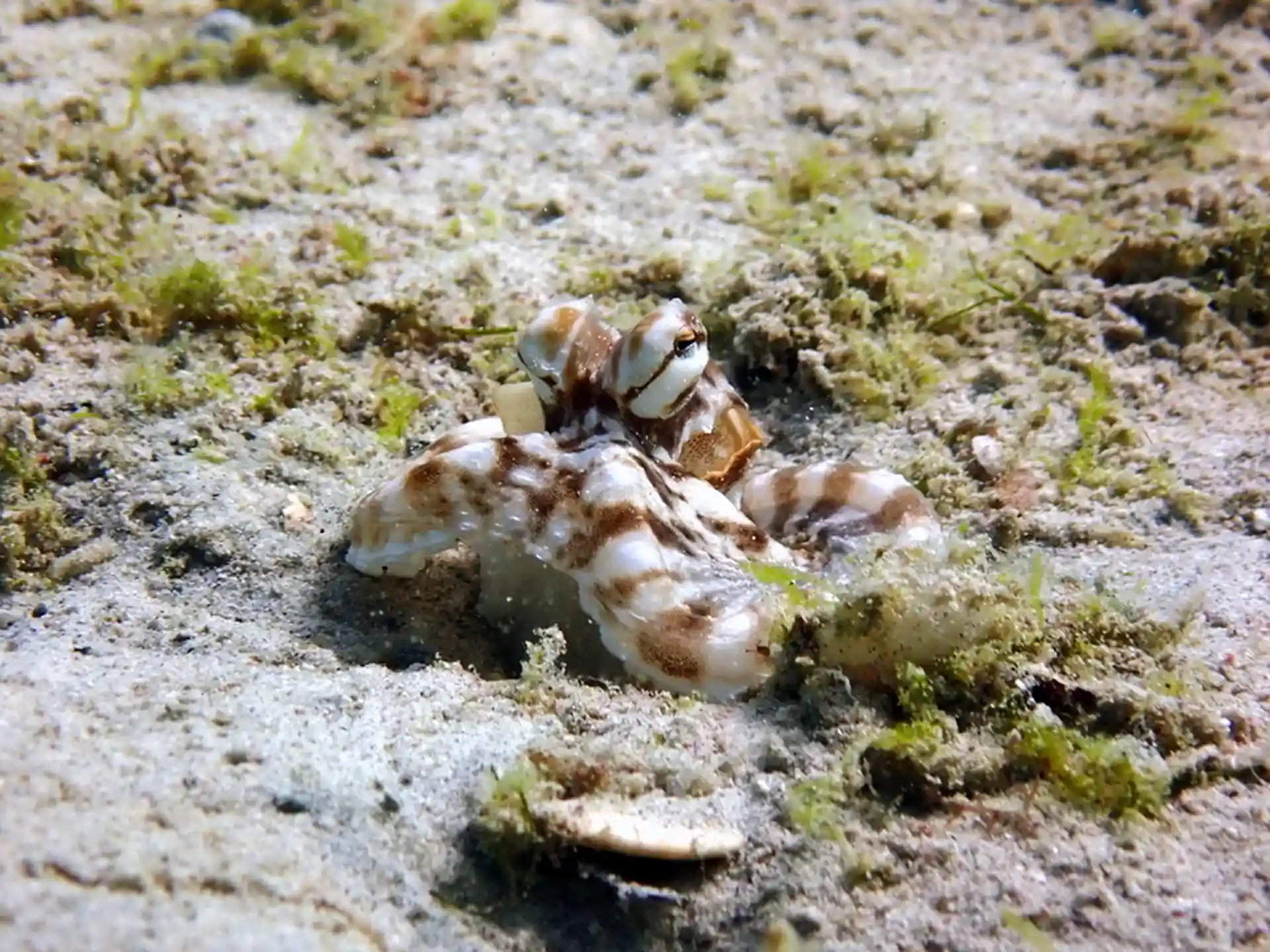 Foto des Tauchplatzes