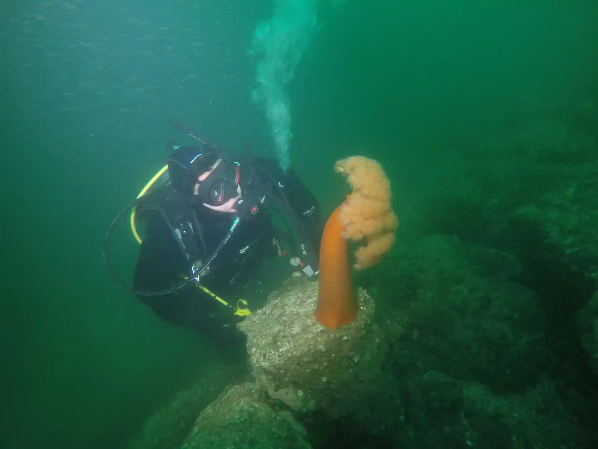 Dive shop photo
