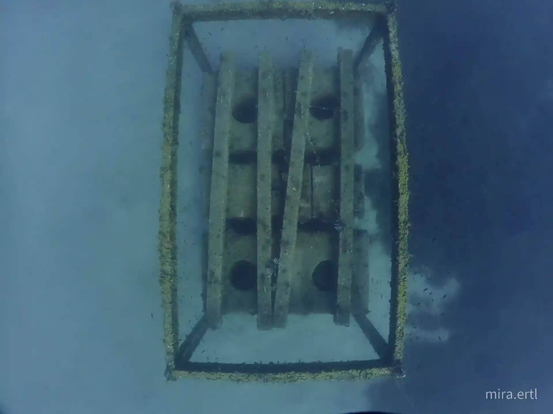 Dive site photo