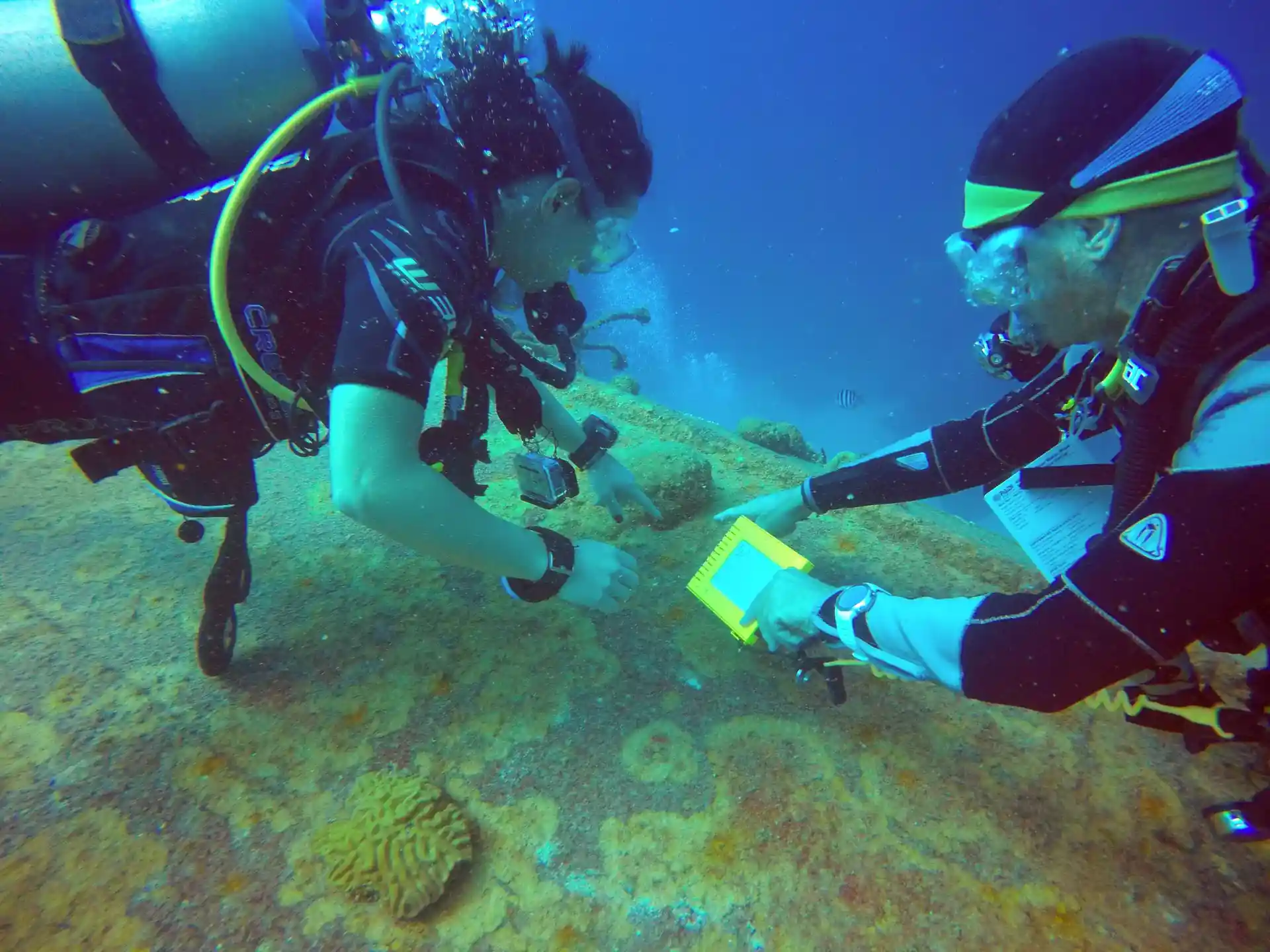 Dive site photo