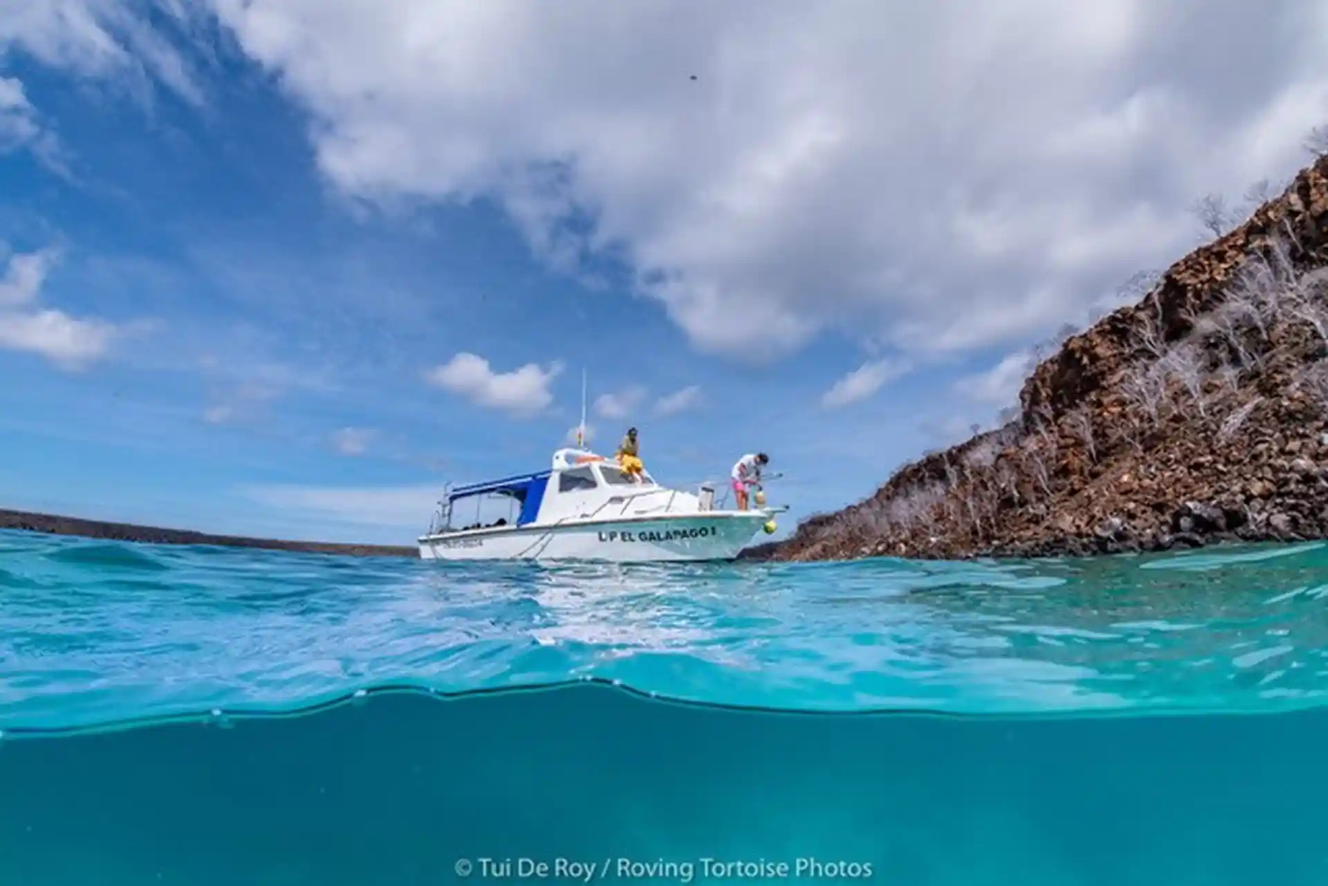 Dive shop photo