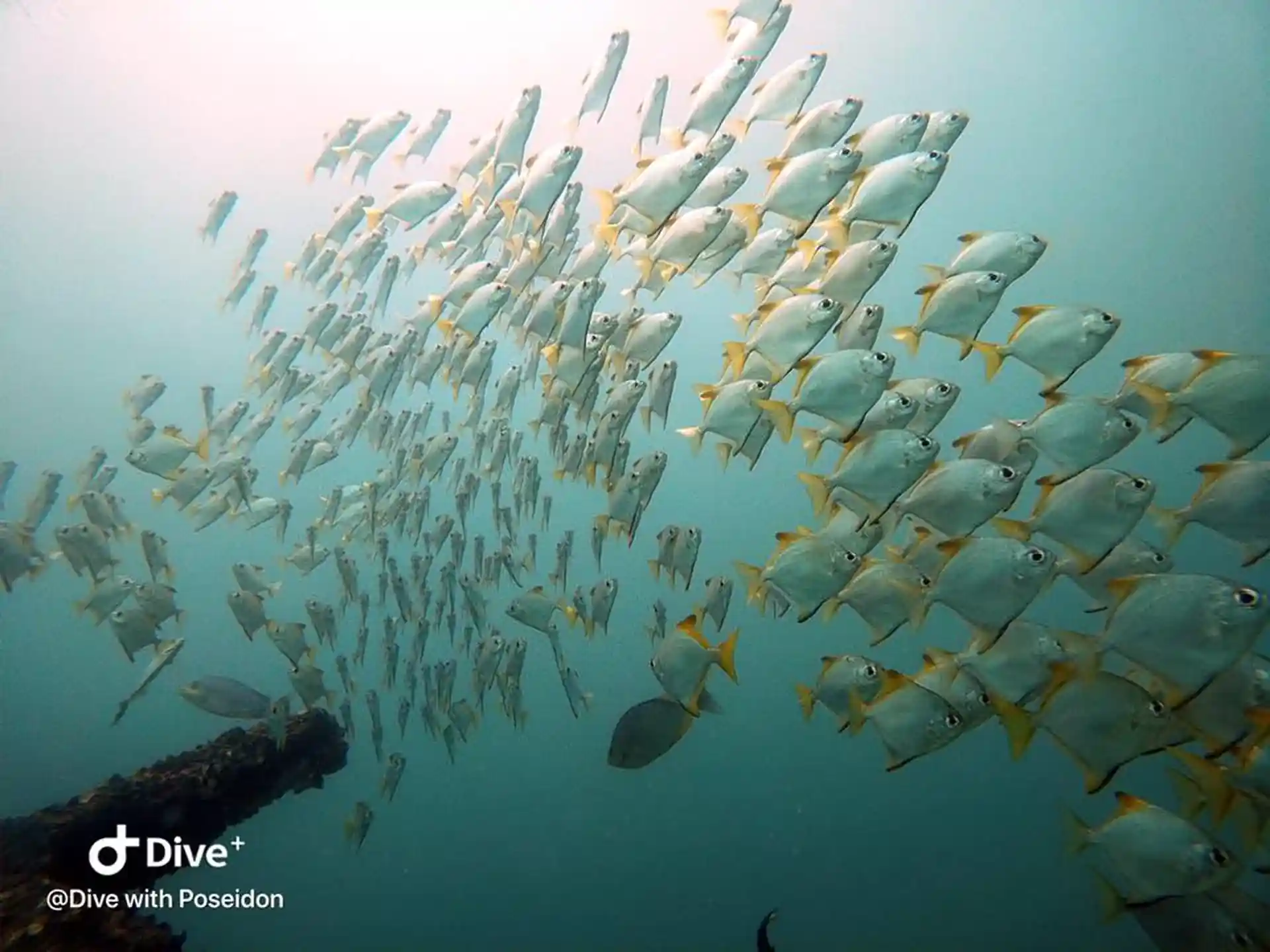 Dive site photo
