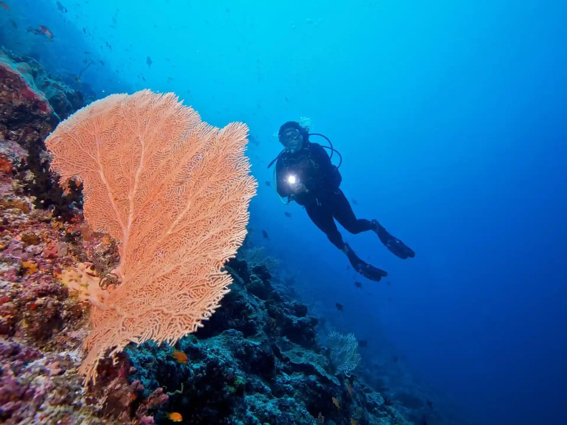 Dive shop photo