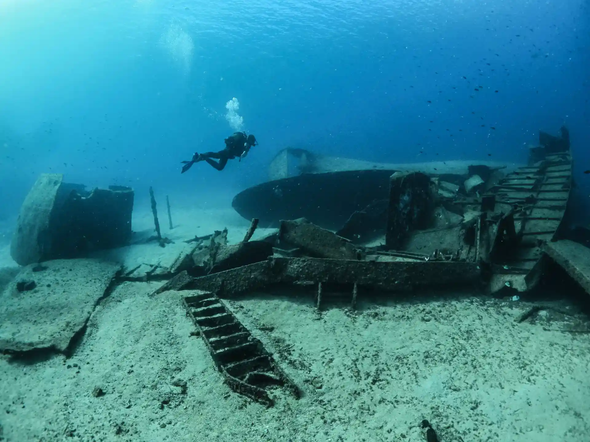 Foto de la actividad