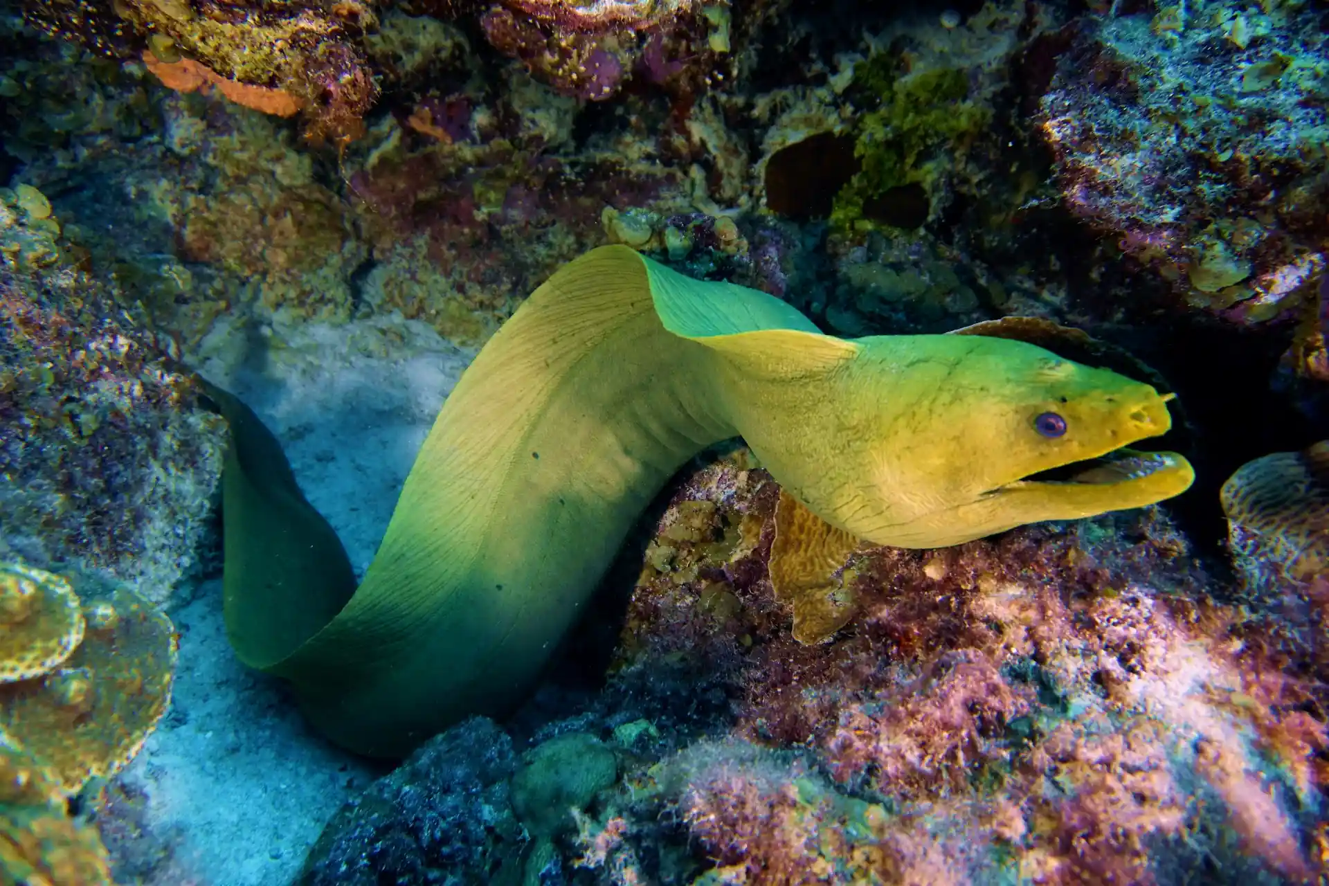 Photo de l'activité