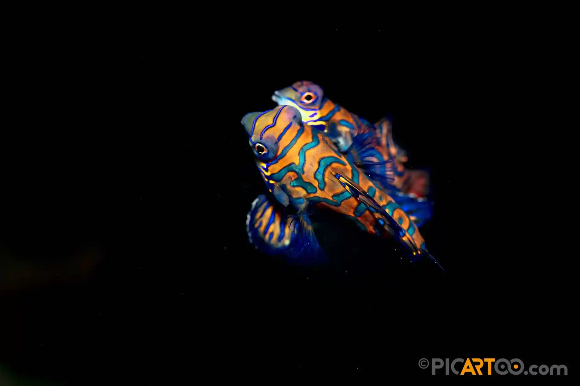 Dive site photo