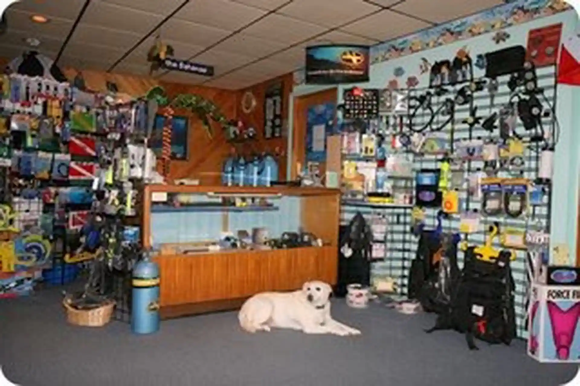 Dive shop photo