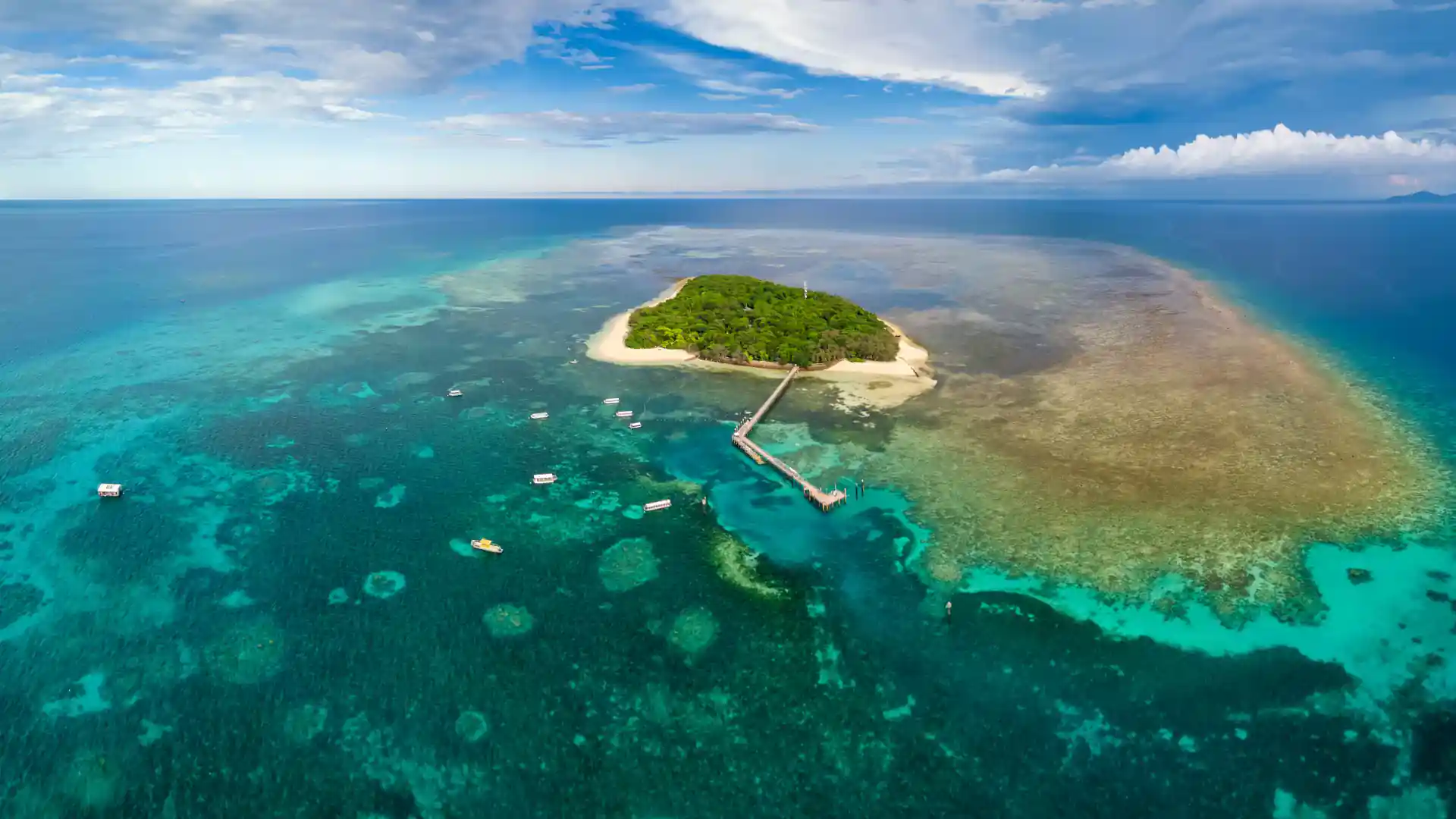 Dive shop photo