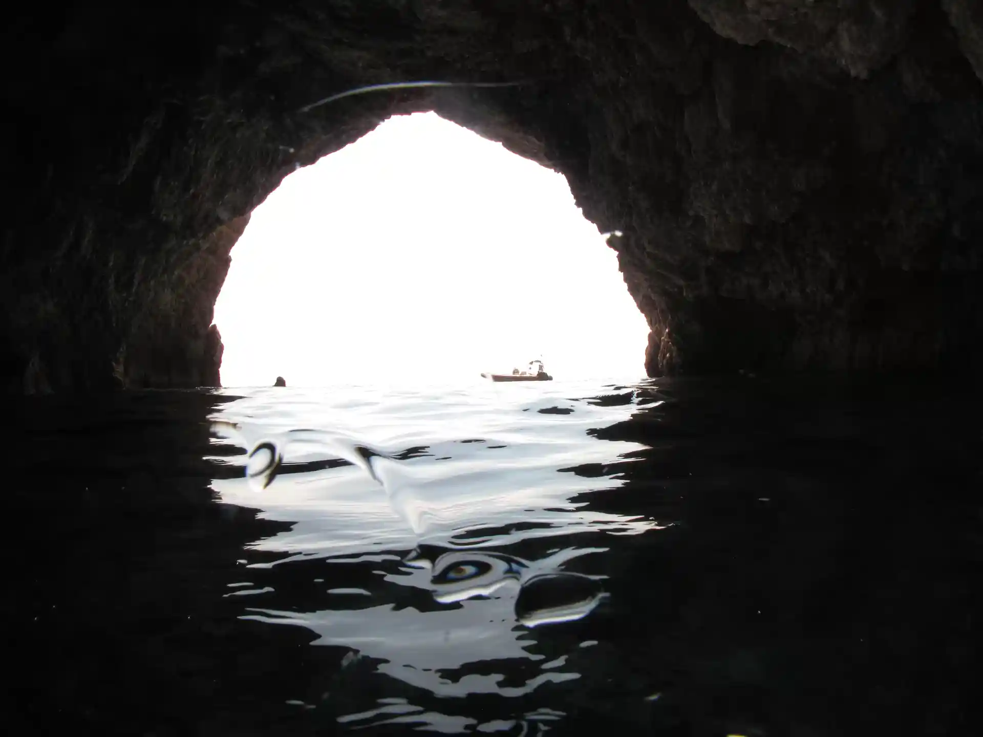 Foto de la actividad