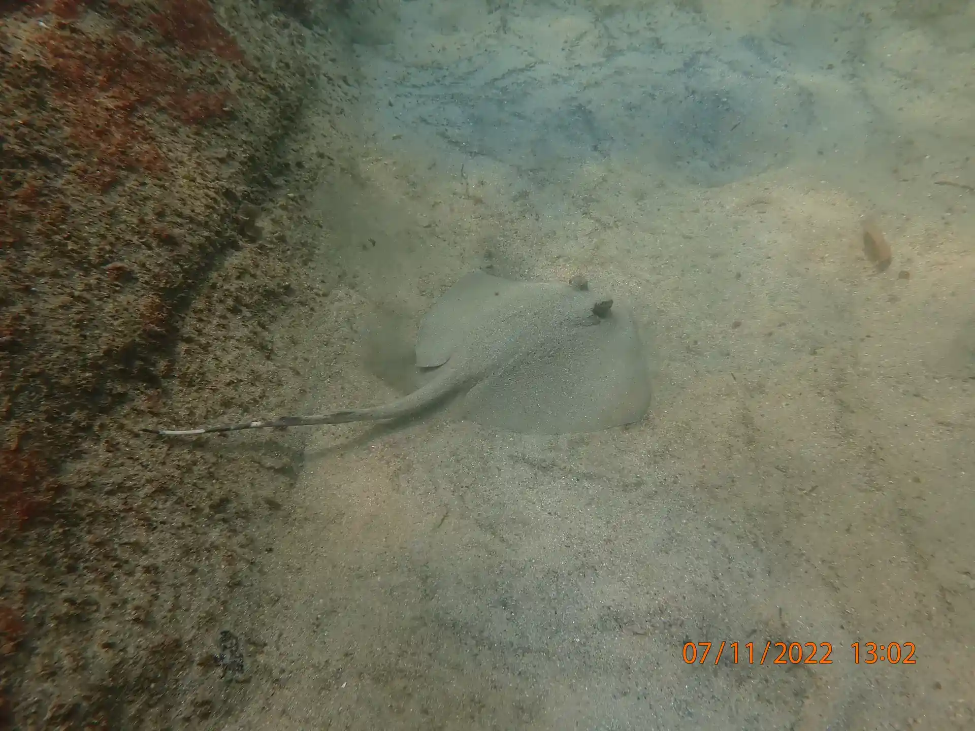 Dive site photo
