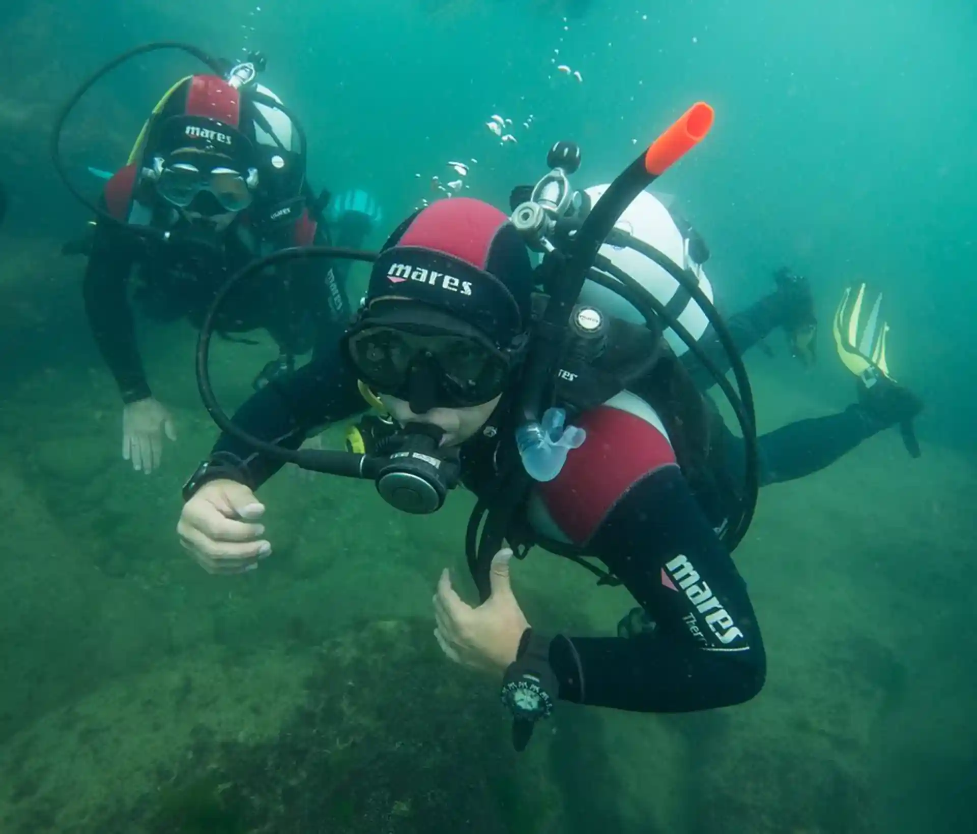 ダイビングサイトの写真