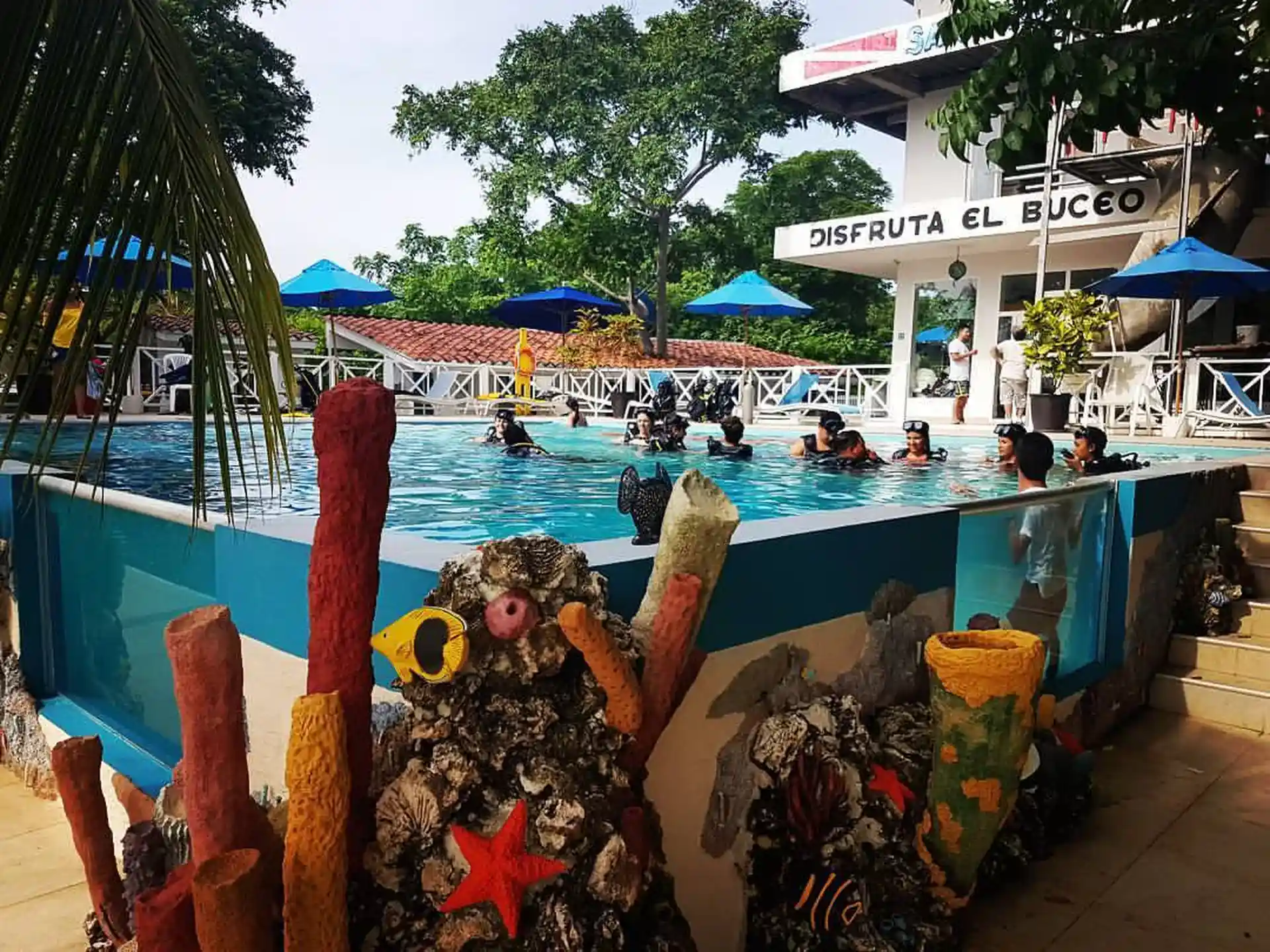 Foto de la actividad