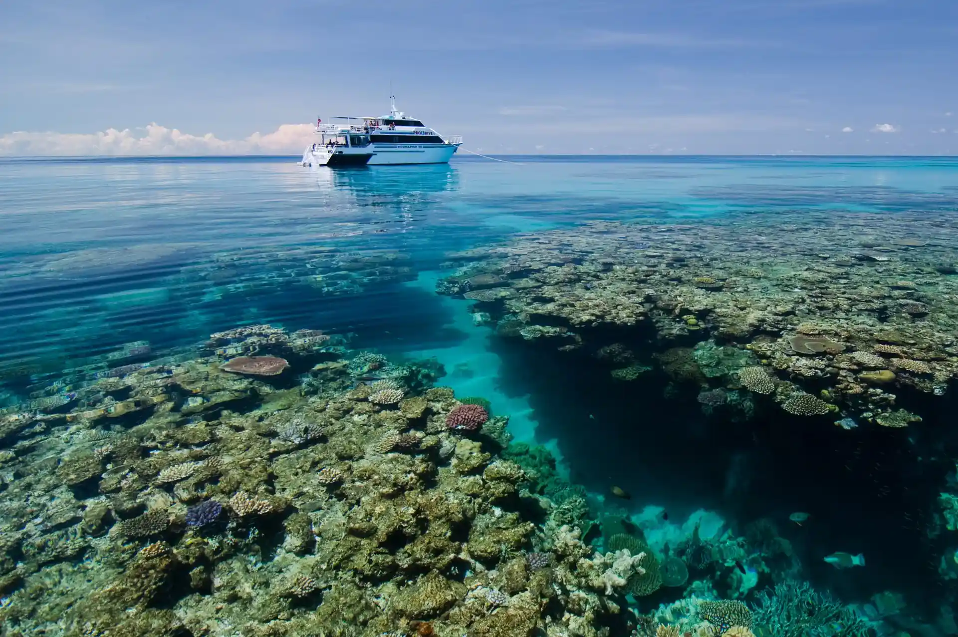 Dive site photo