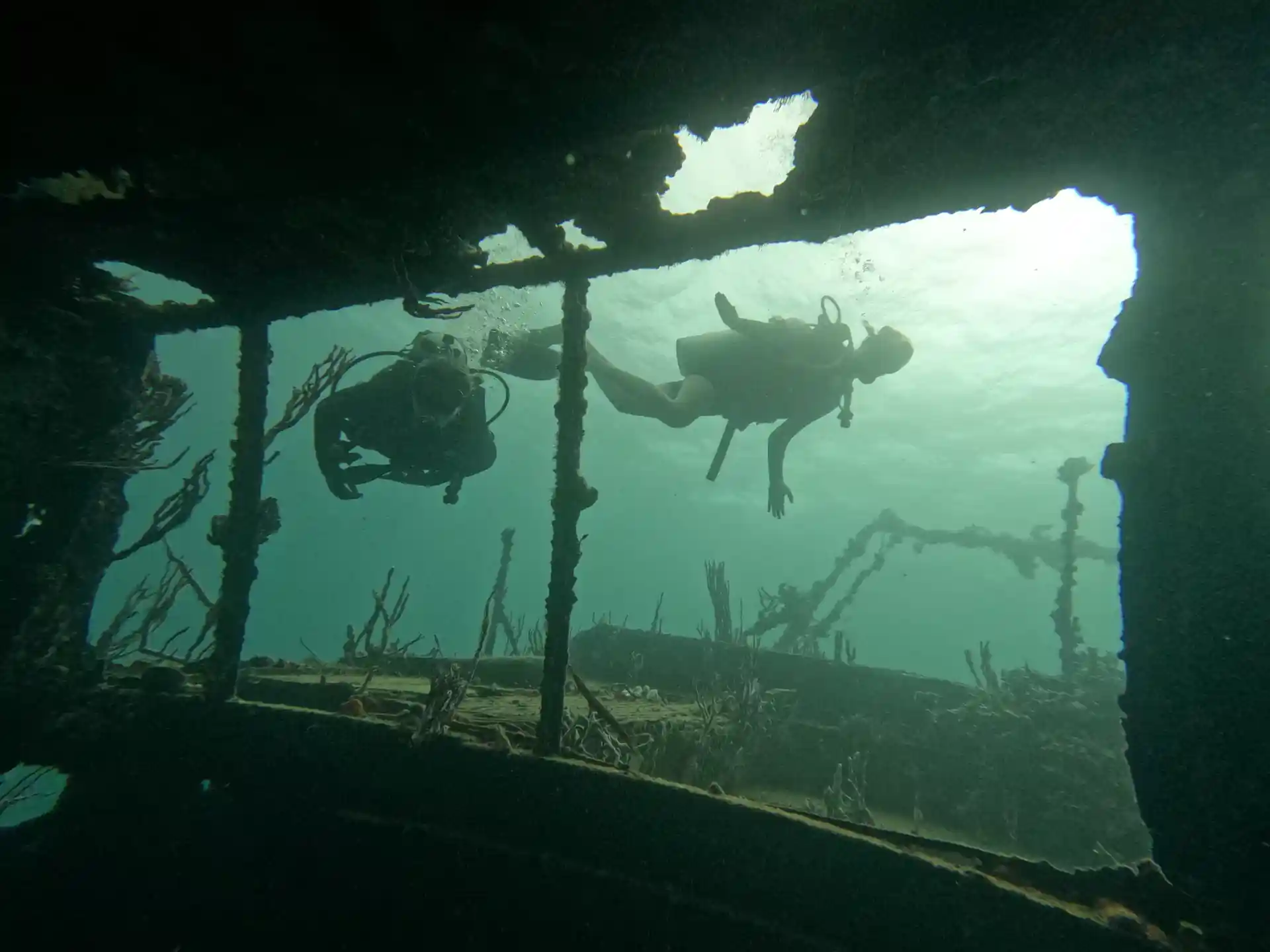 Foto de la tienda de buceo