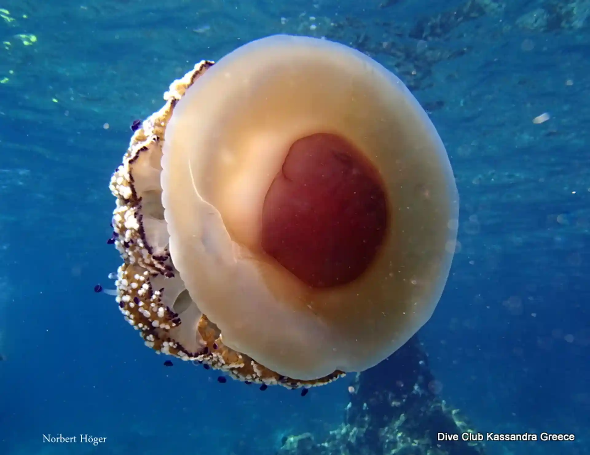 Foto des Tauchplatzes