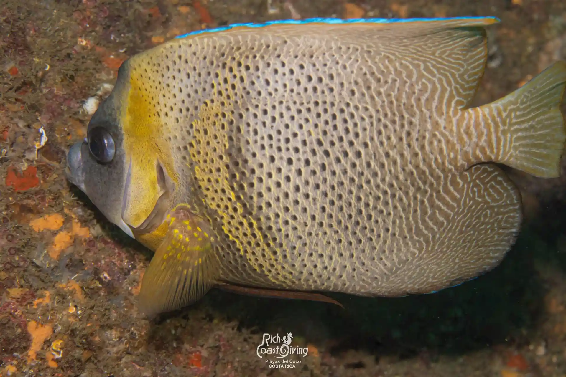 Dive site photo