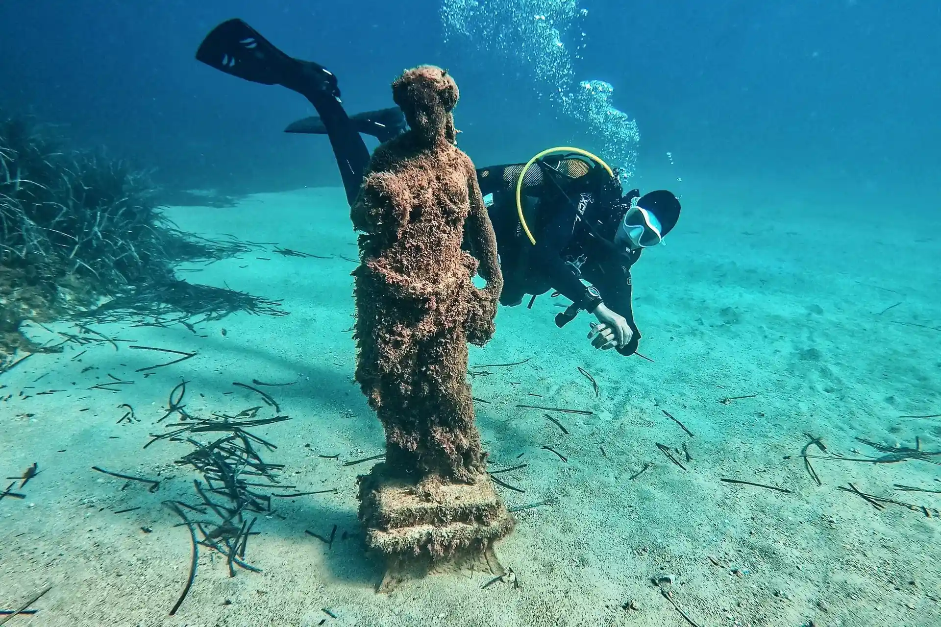 Dive site photo