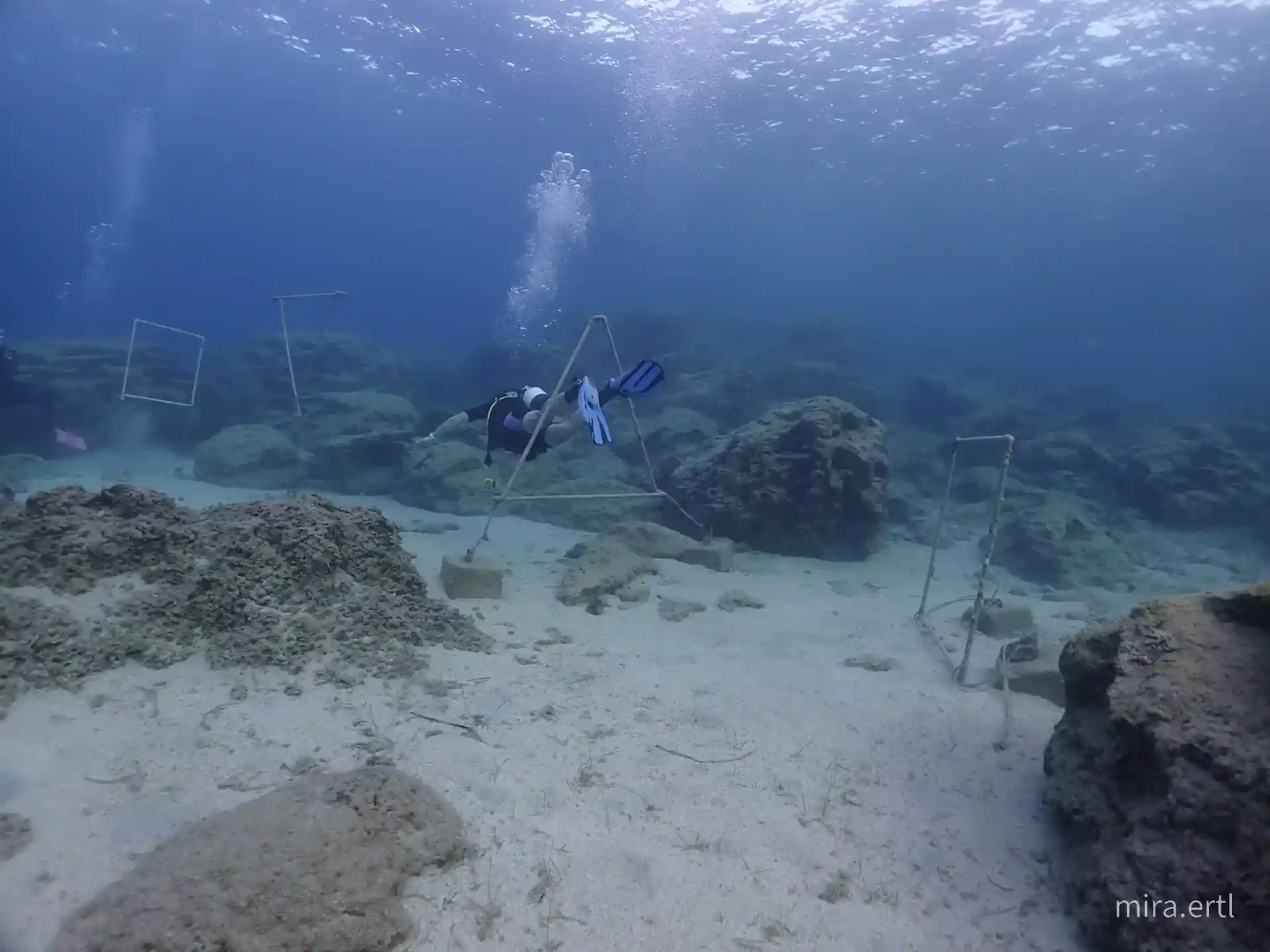 Dive site photo
