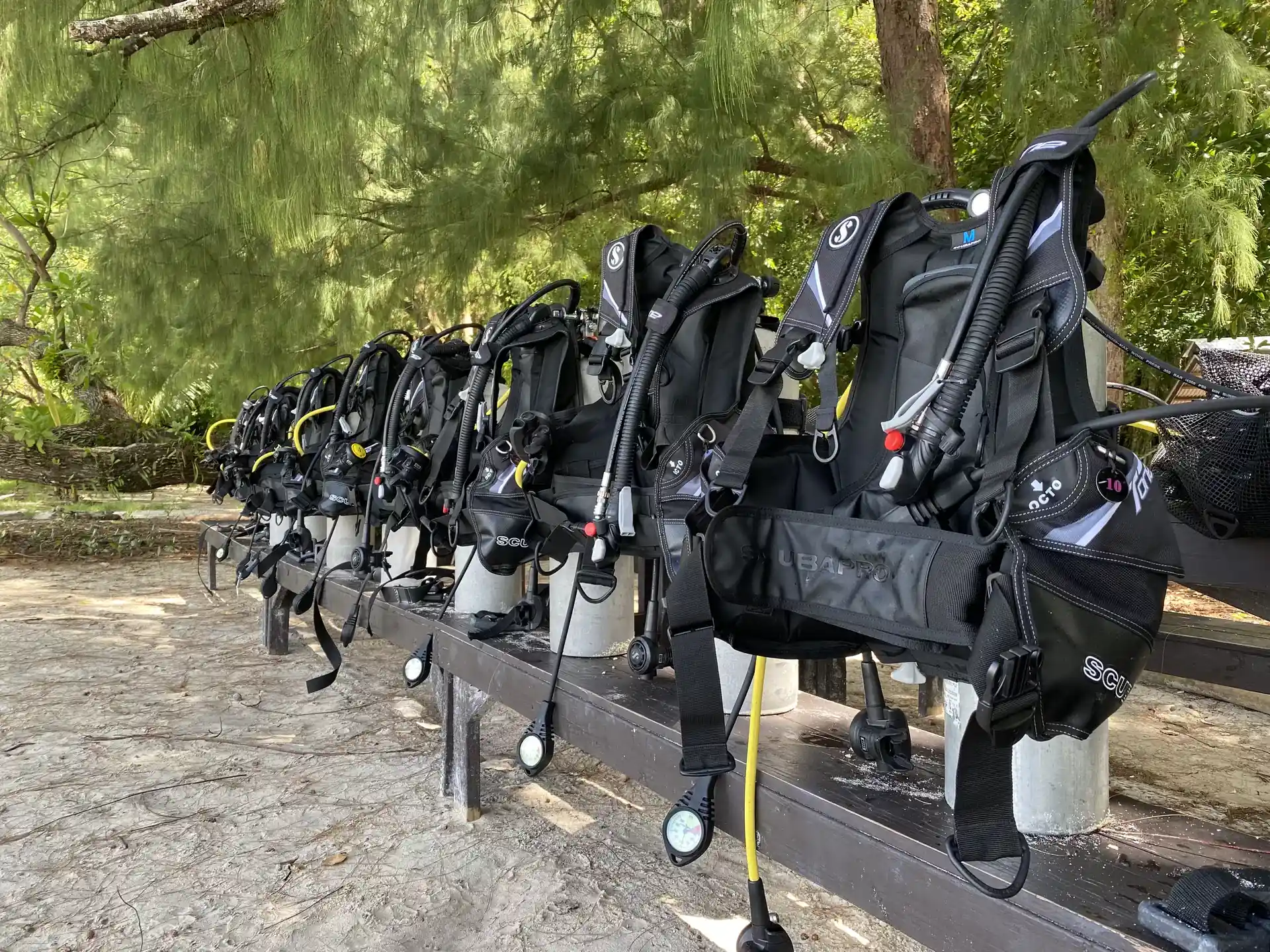 Foto de la actividad