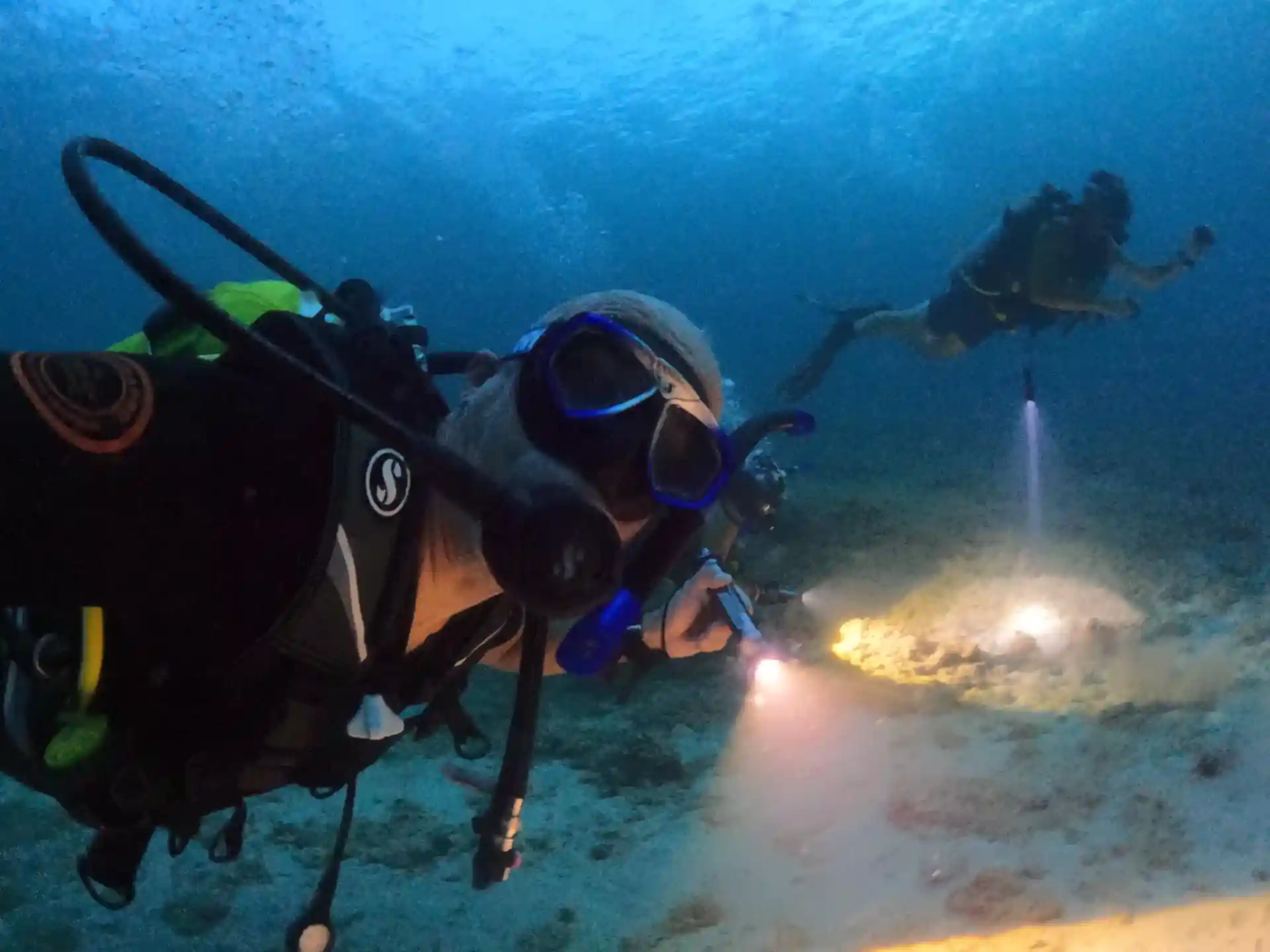 Photo de l'activité