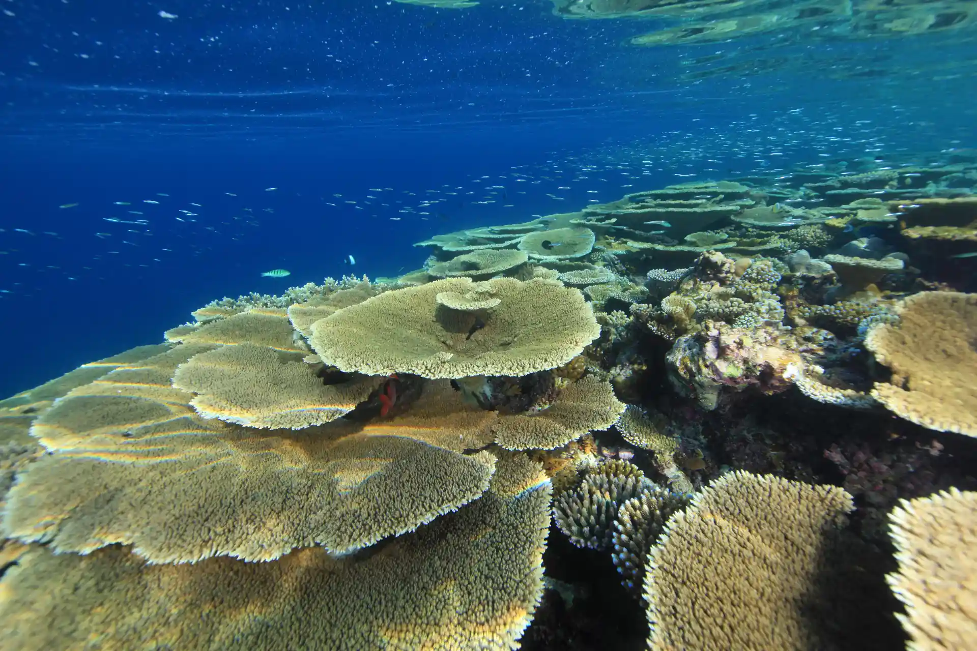 Foto de la actividad