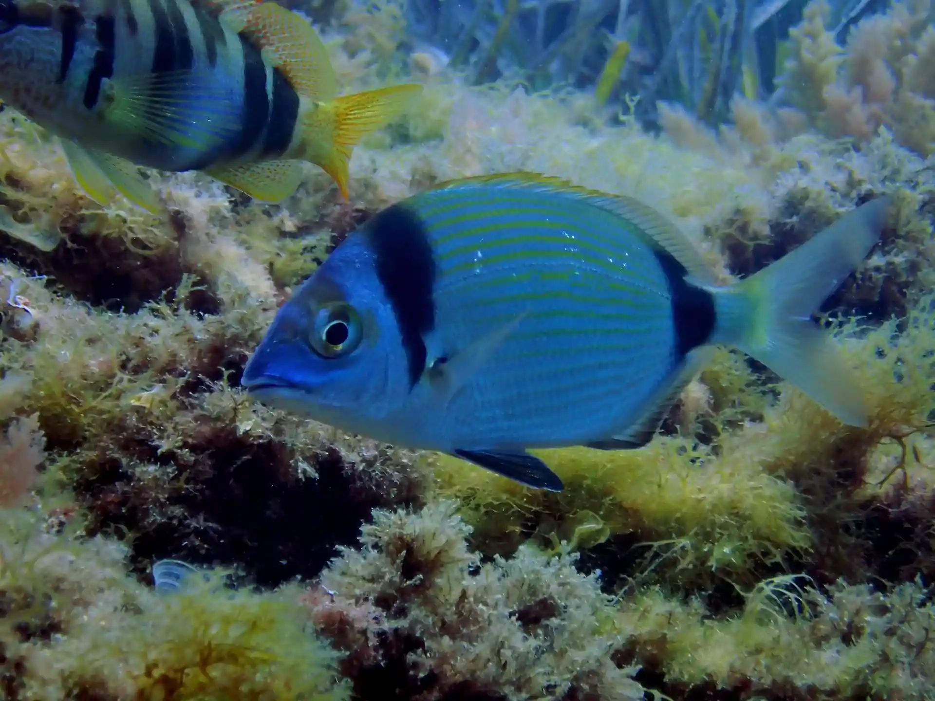 다이빙 포인트 사진