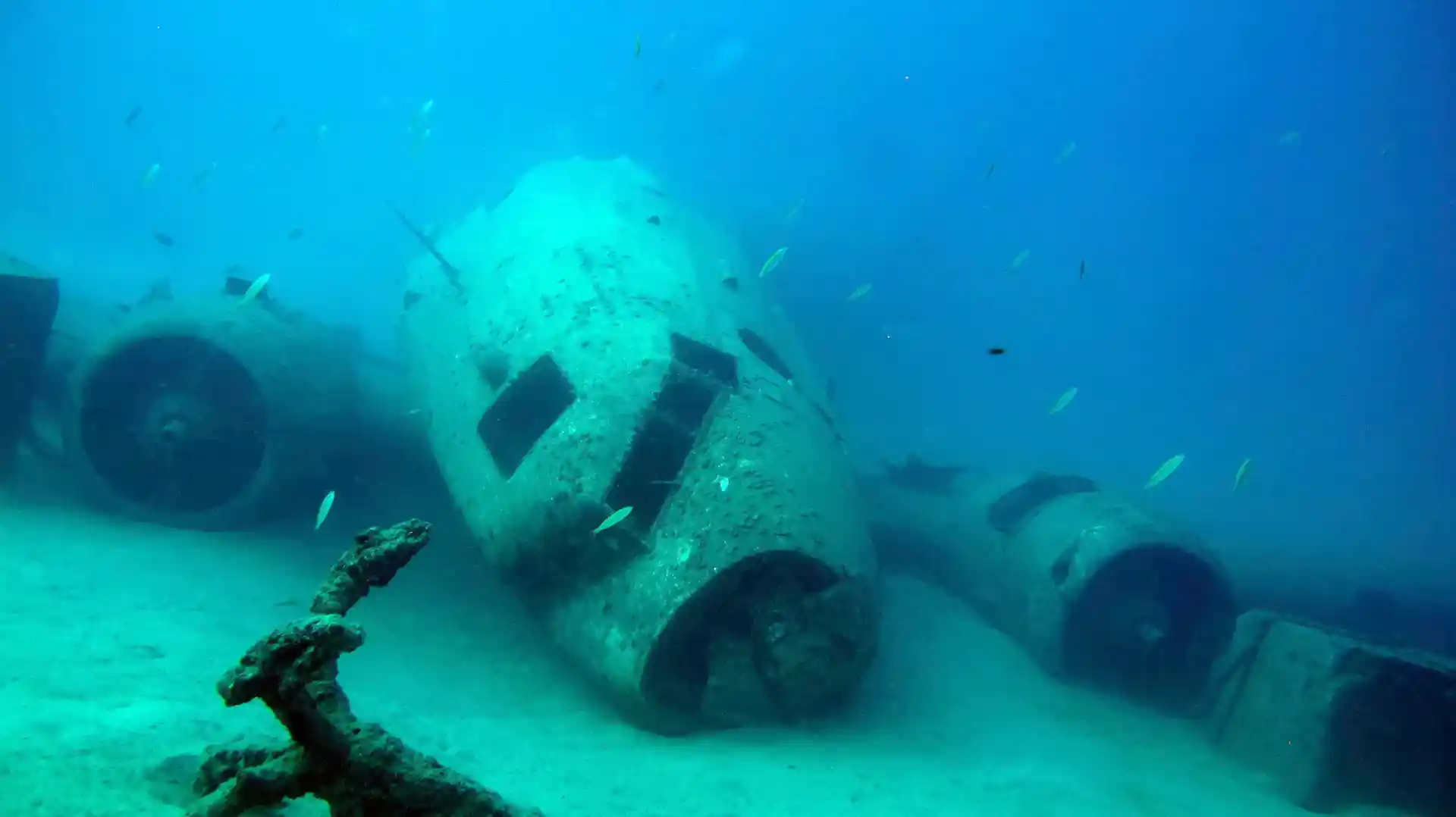 Dive site photo