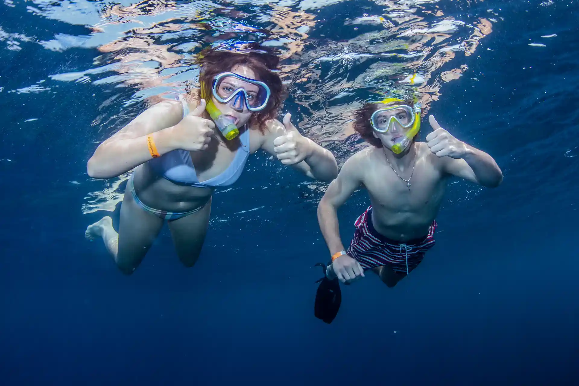 Photo de l'activité