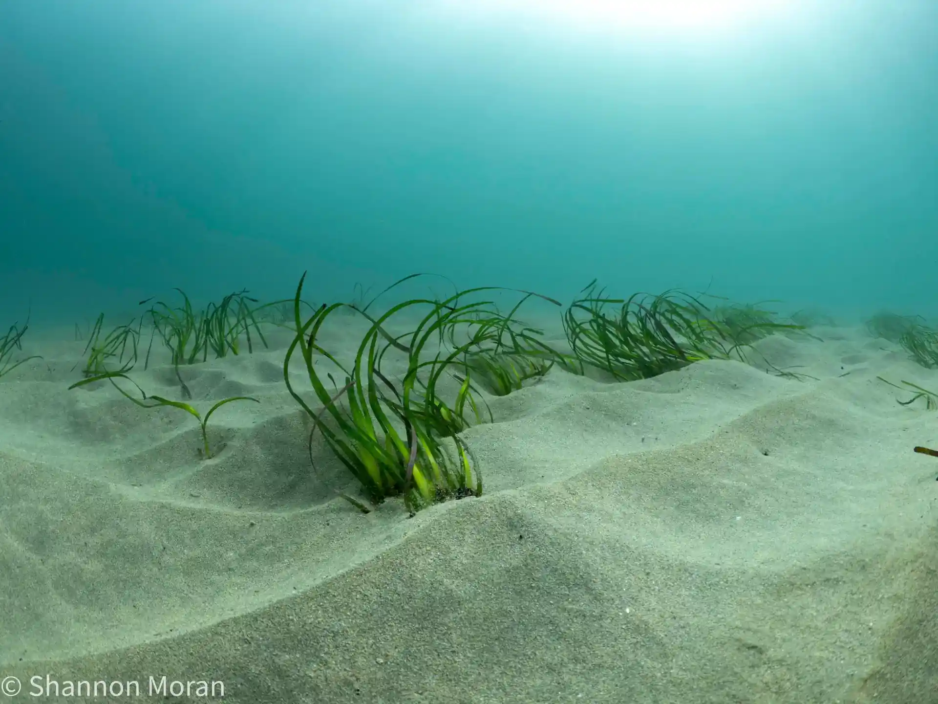 다이빙 포인트 사진