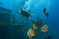 Dive center image