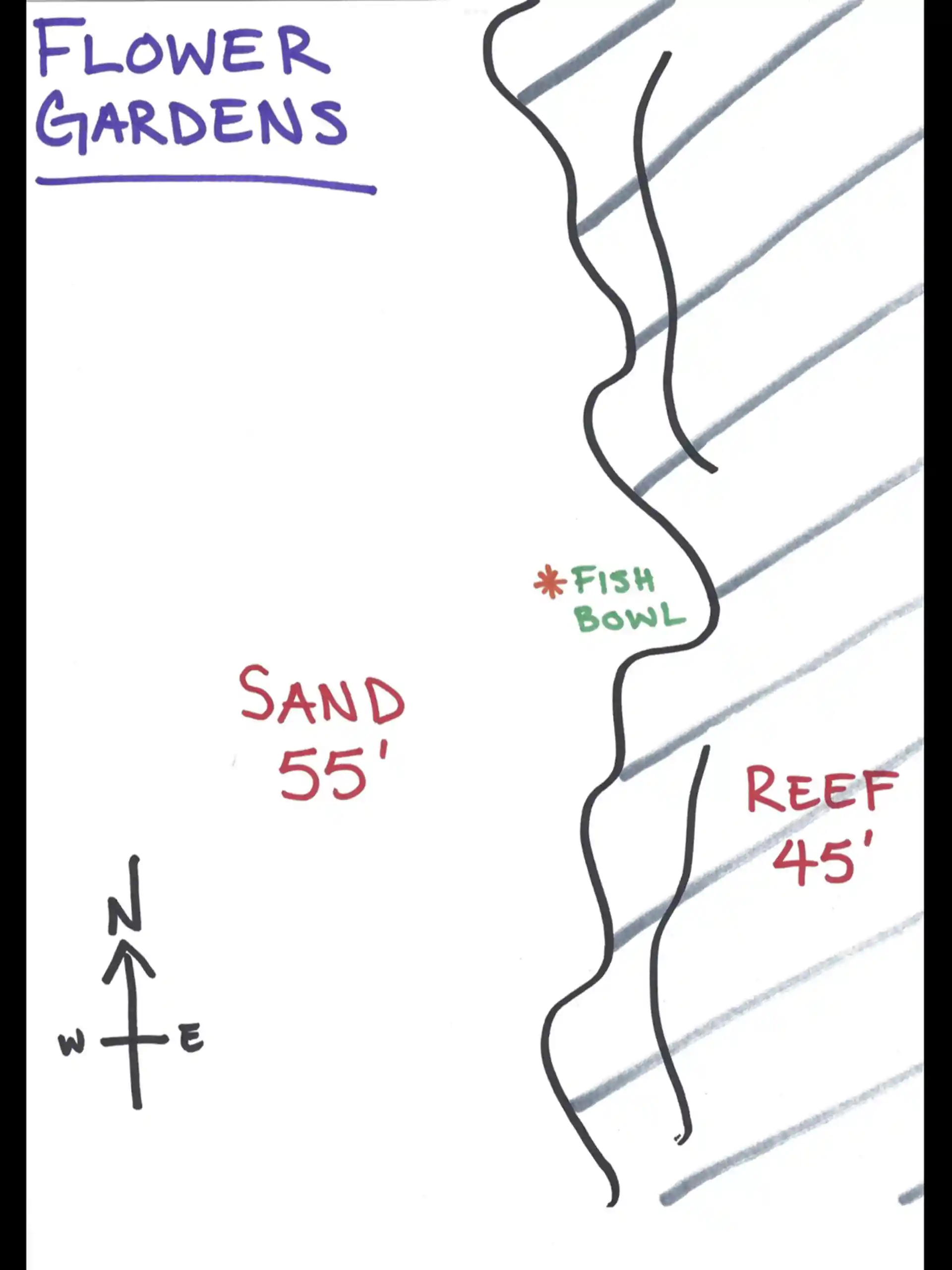 Dive site photo