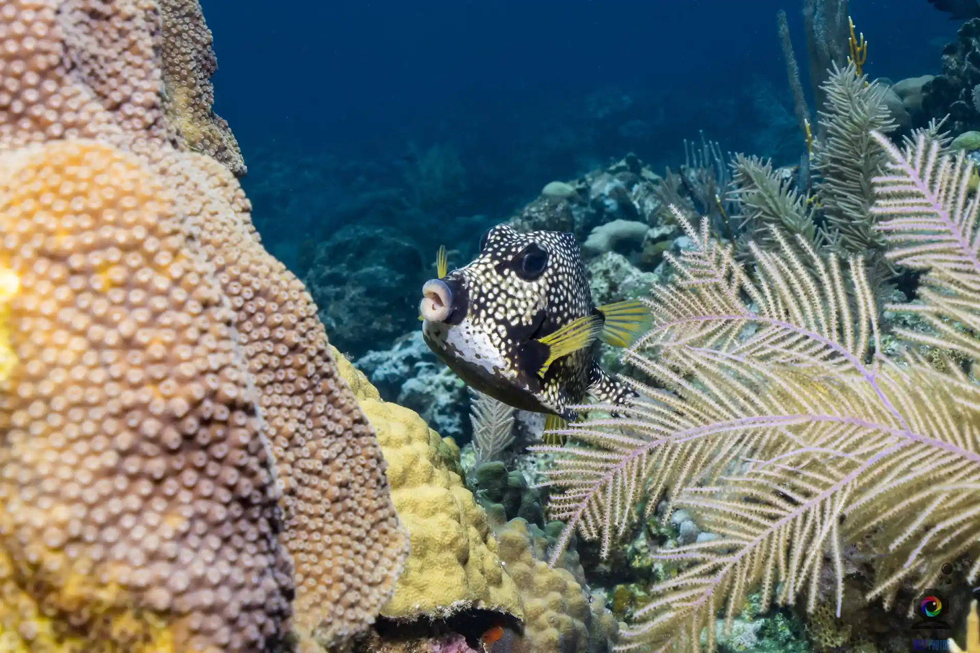 Foto de la actividad