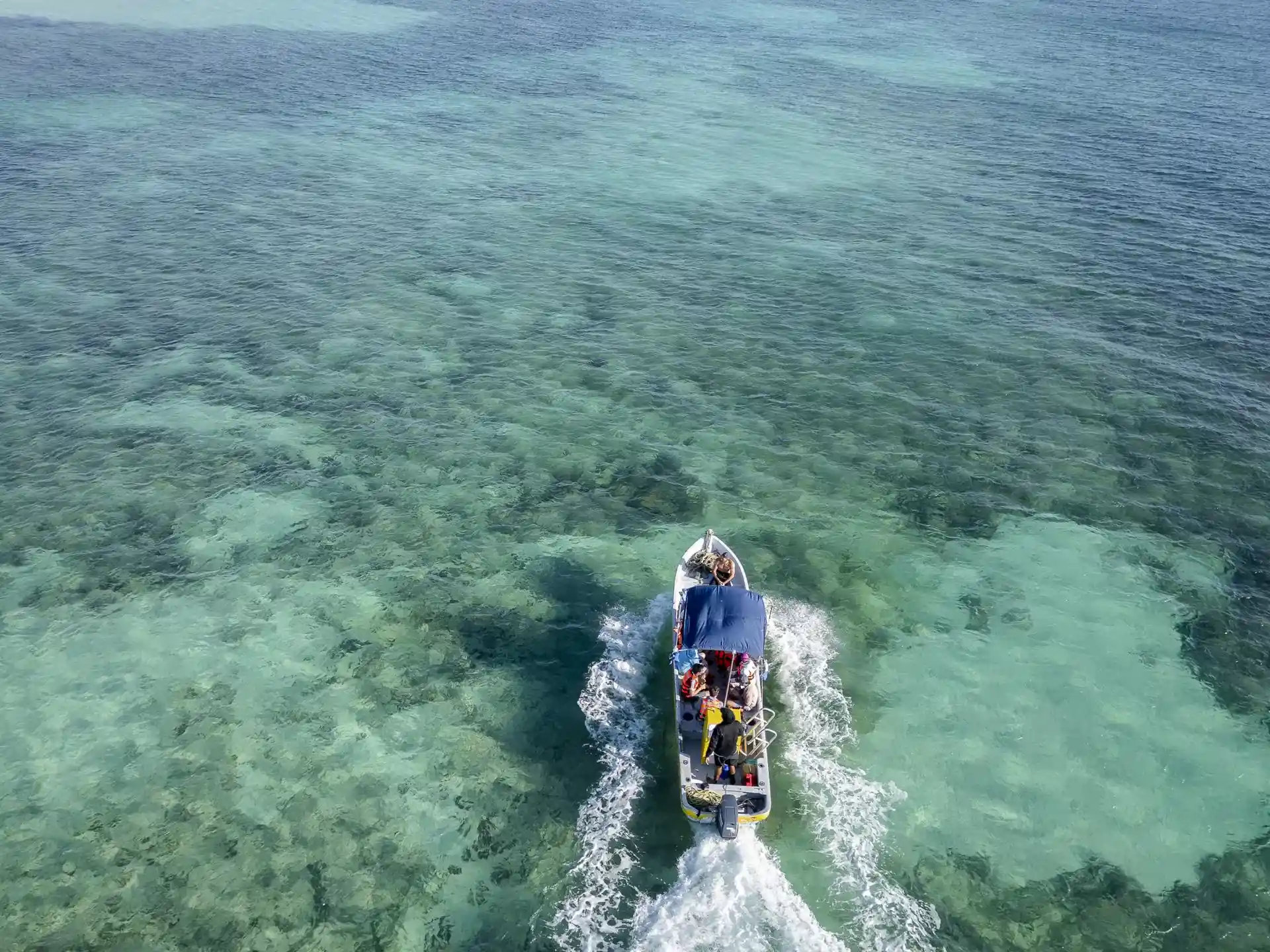 Dive shop photo