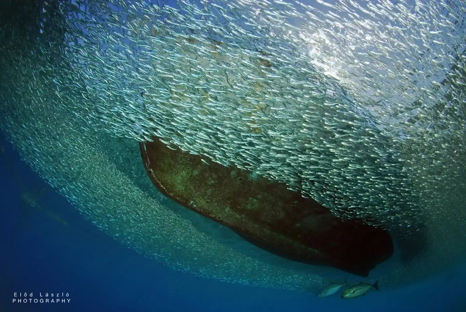 Dive shop photo
