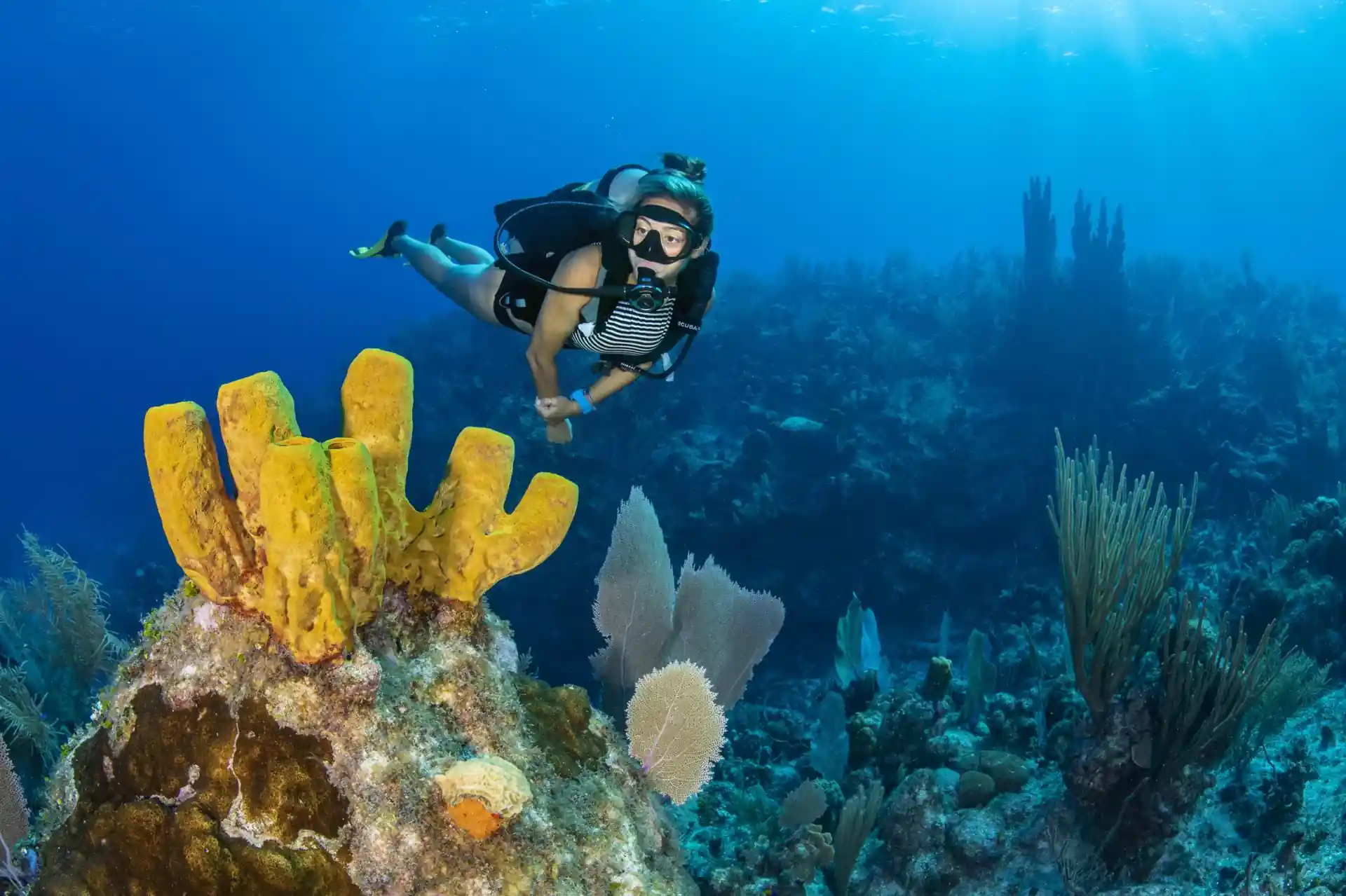 Dive site photo