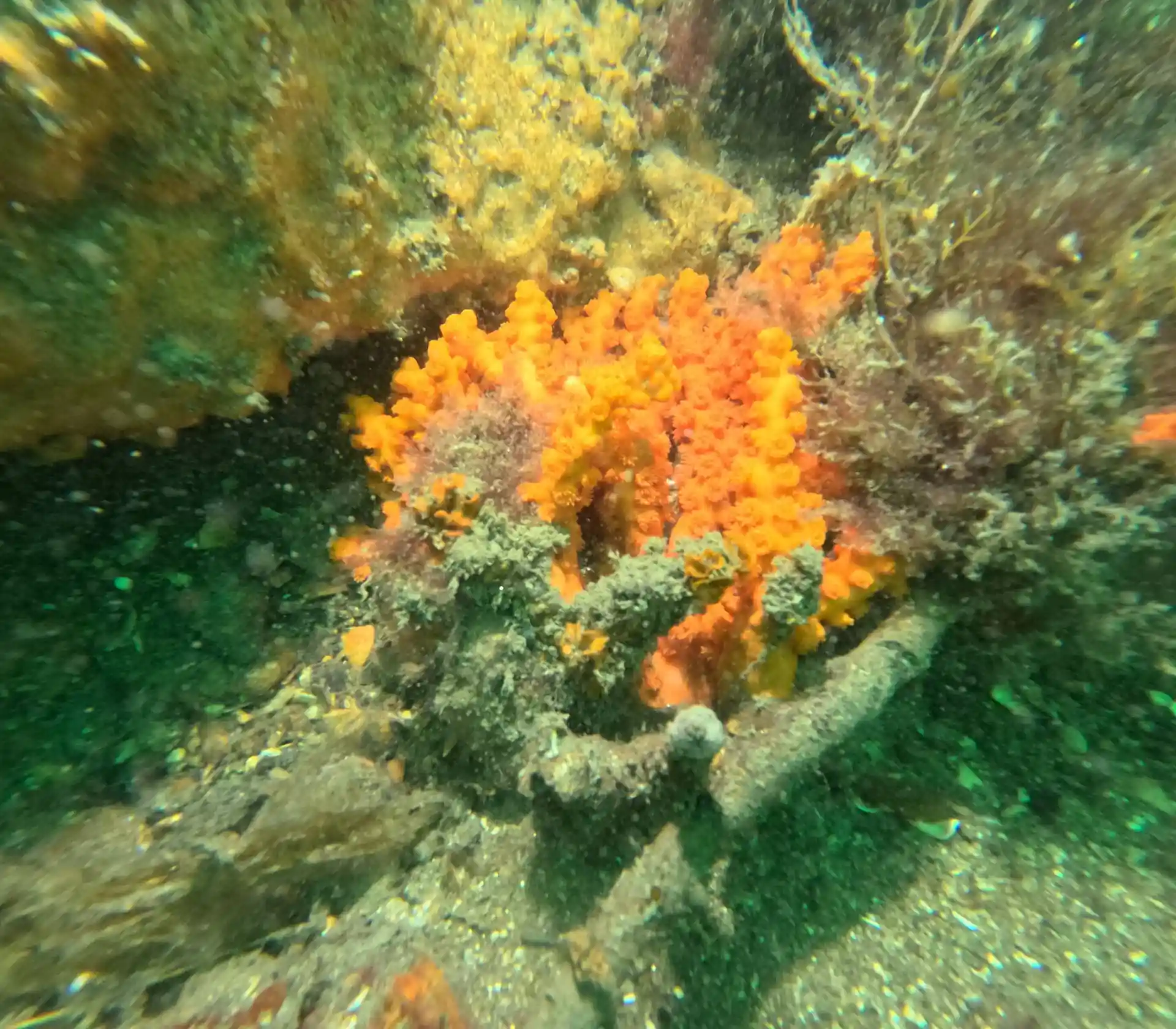 Dive shop photo