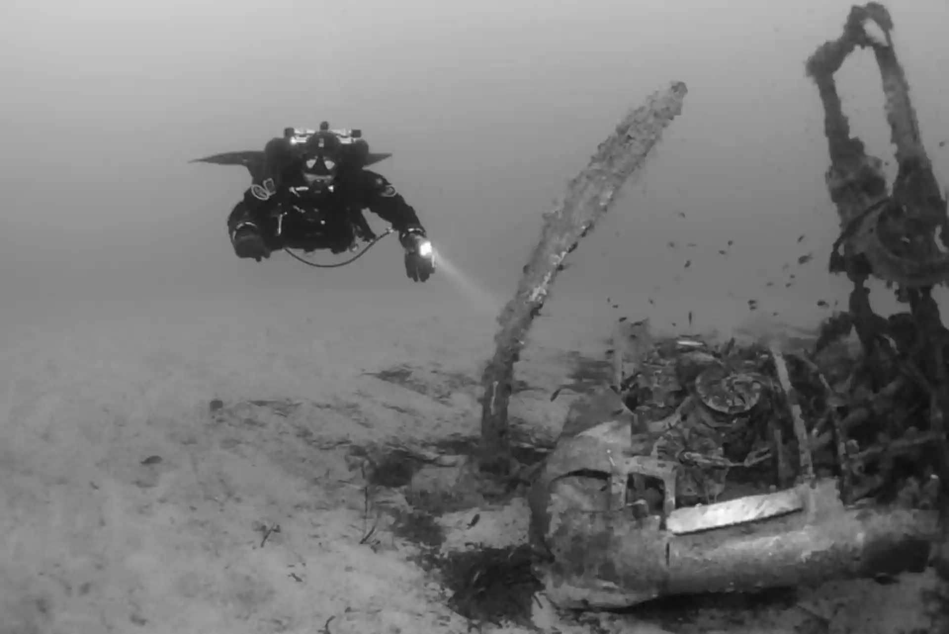 Foto de la tienda de buceo