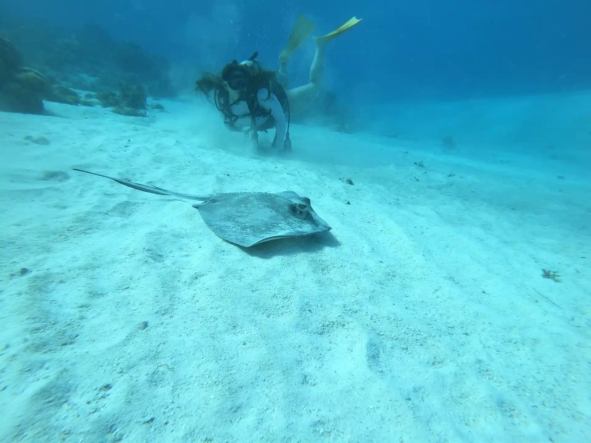 Foto des Tauchplatzes