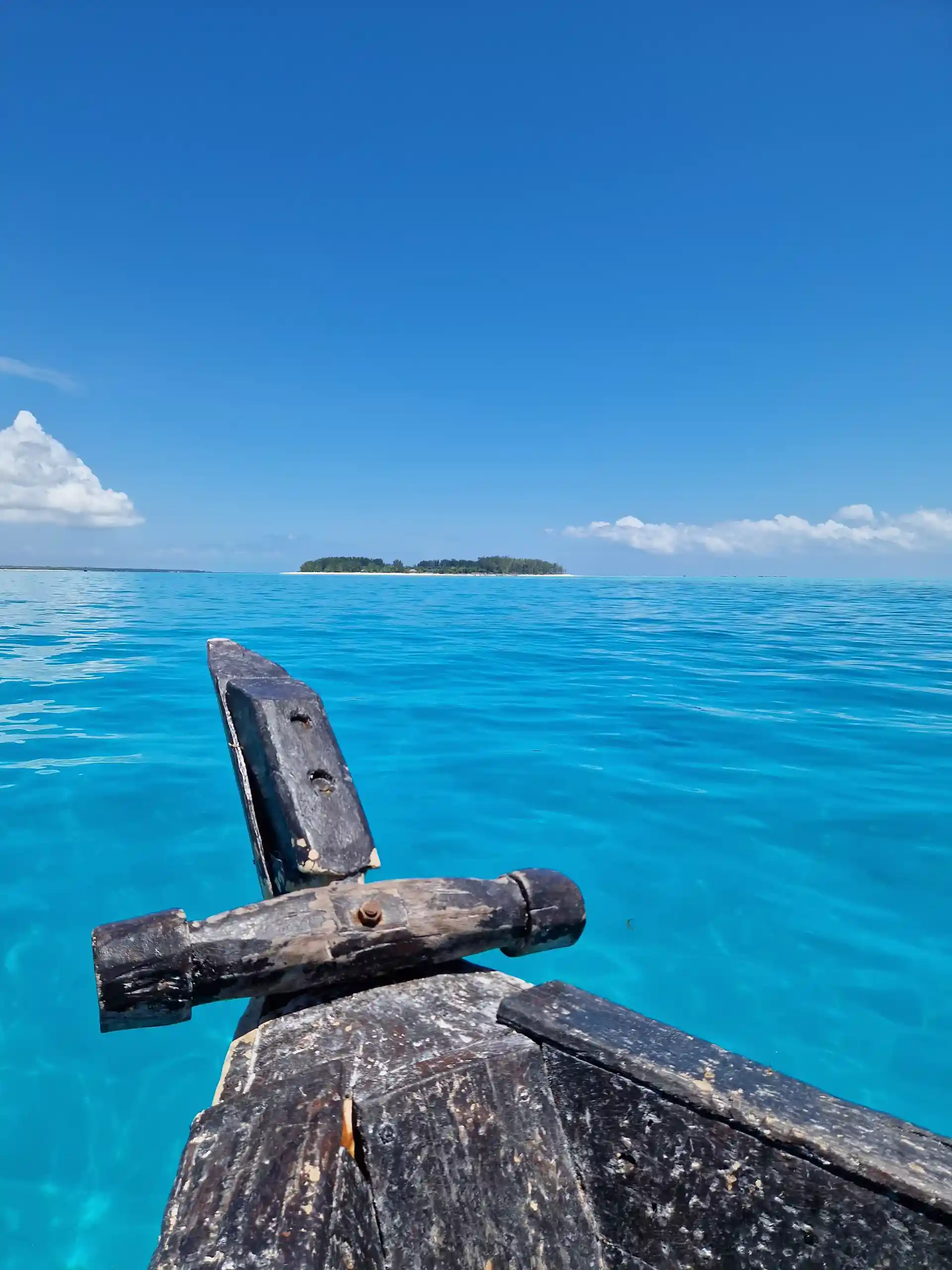 Foto de la actividad