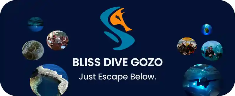 Dive operator picture