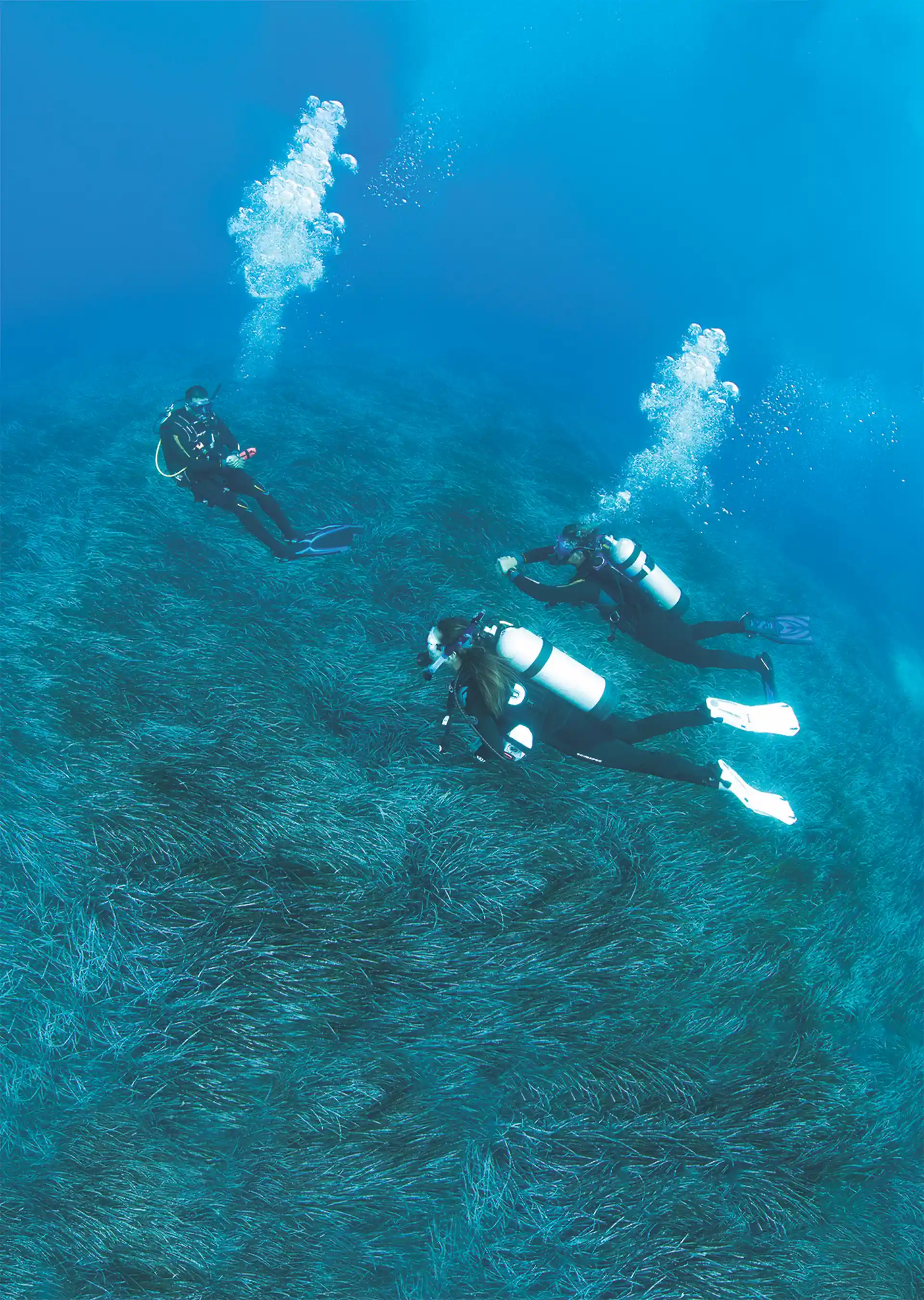 Dive shop photo