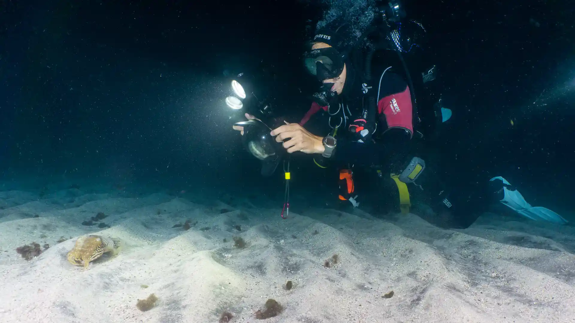 Foto de la actividad