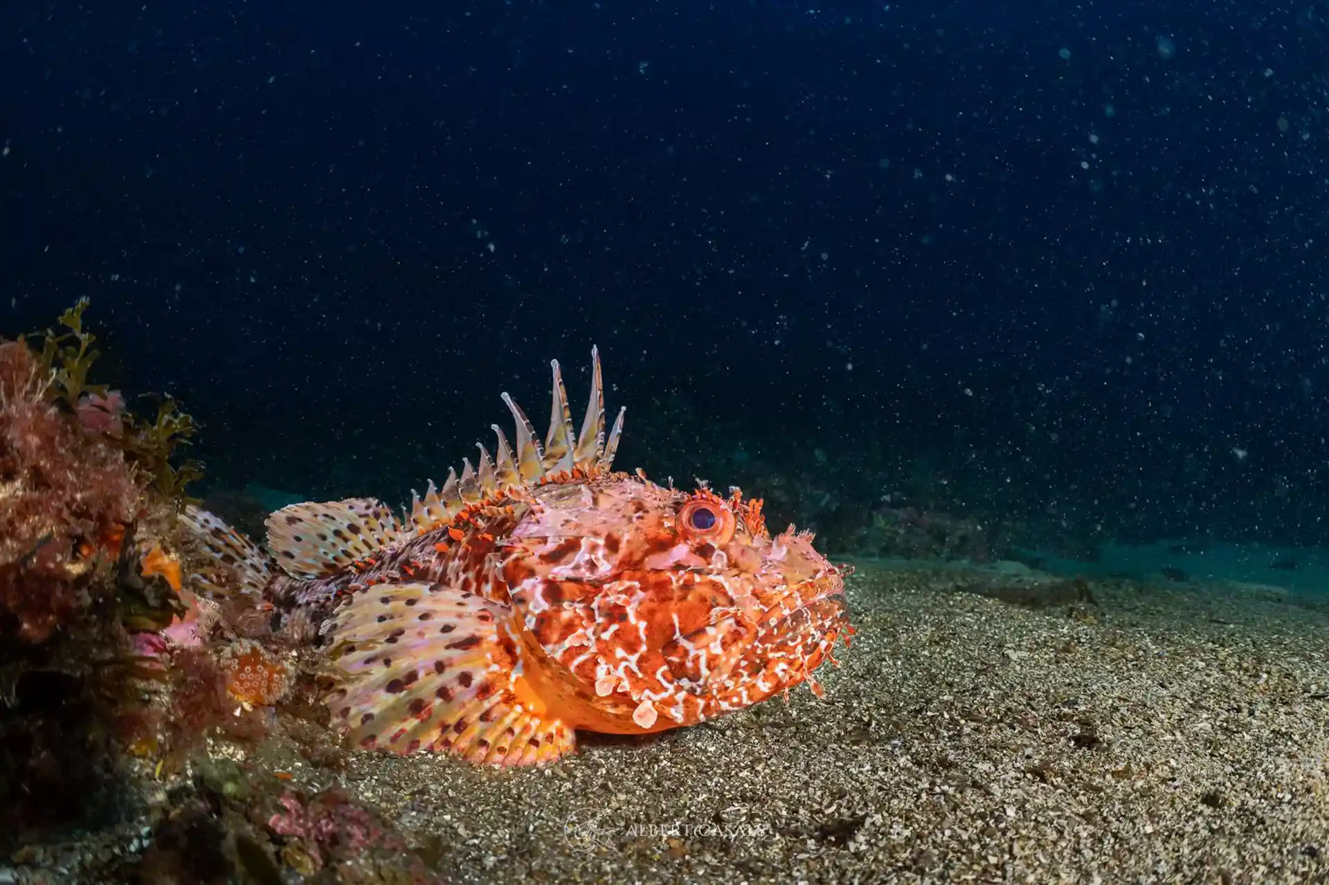 Foto de la actividad