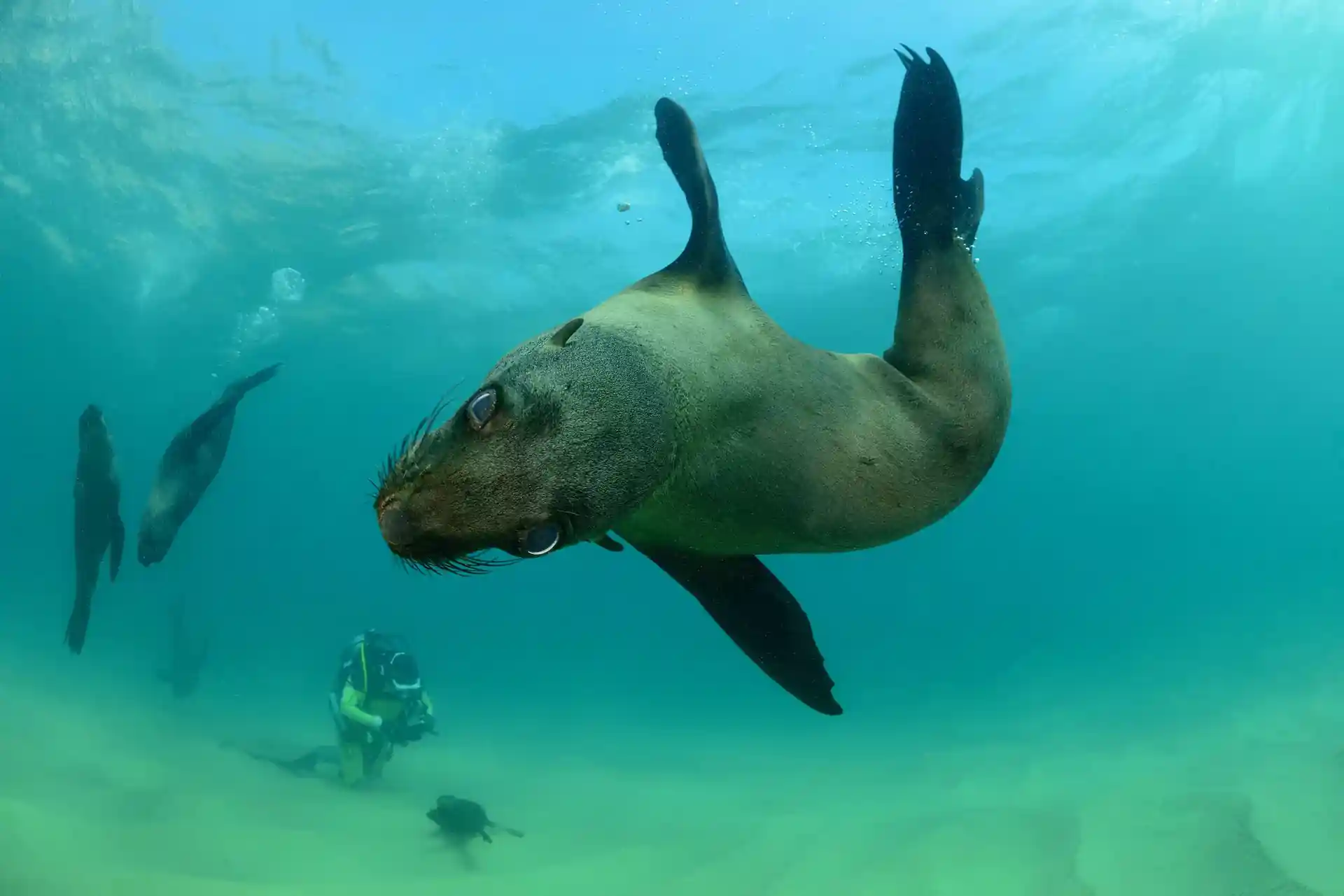 다이빙 포인트 사진