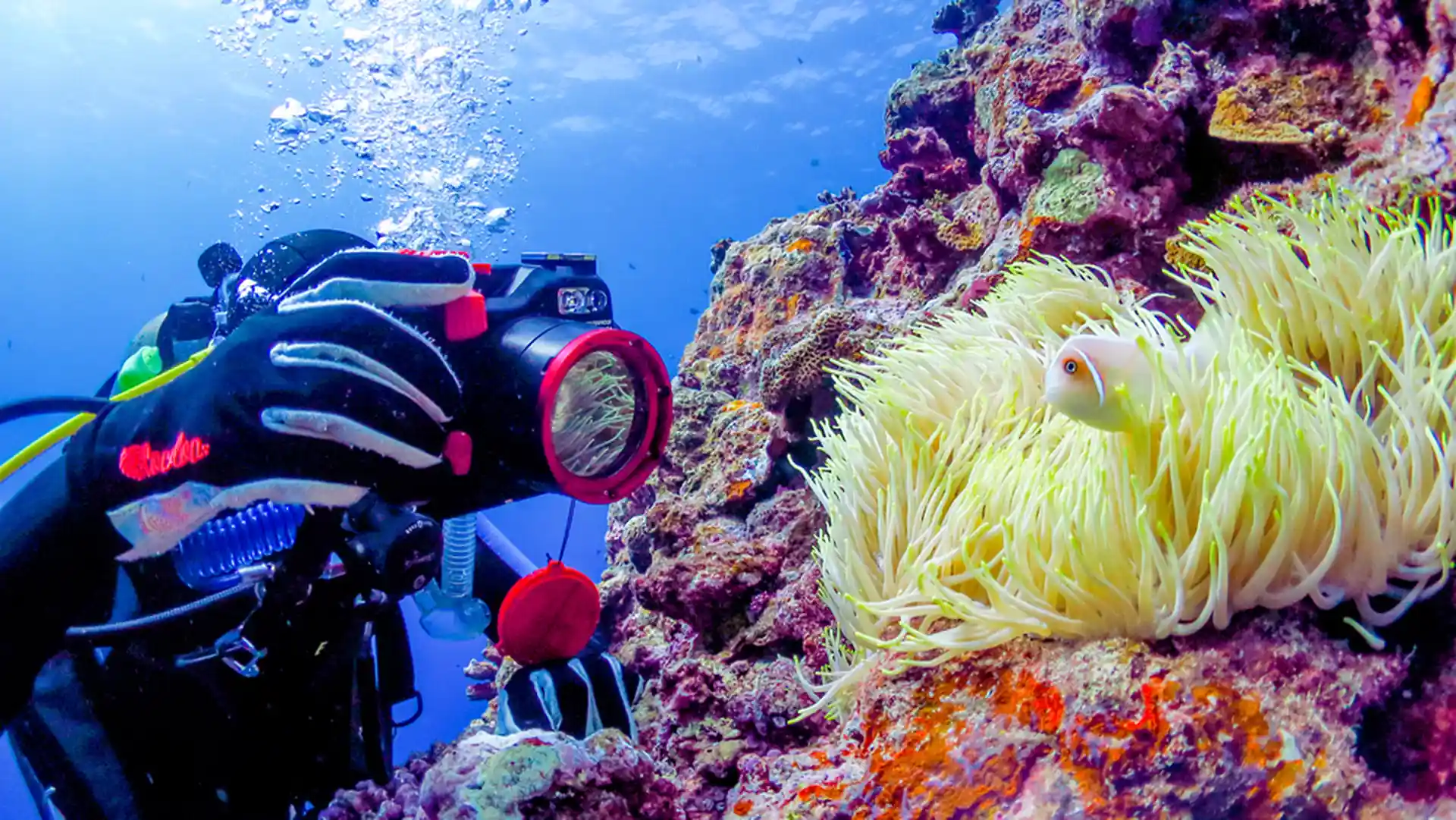Dive shop photo
