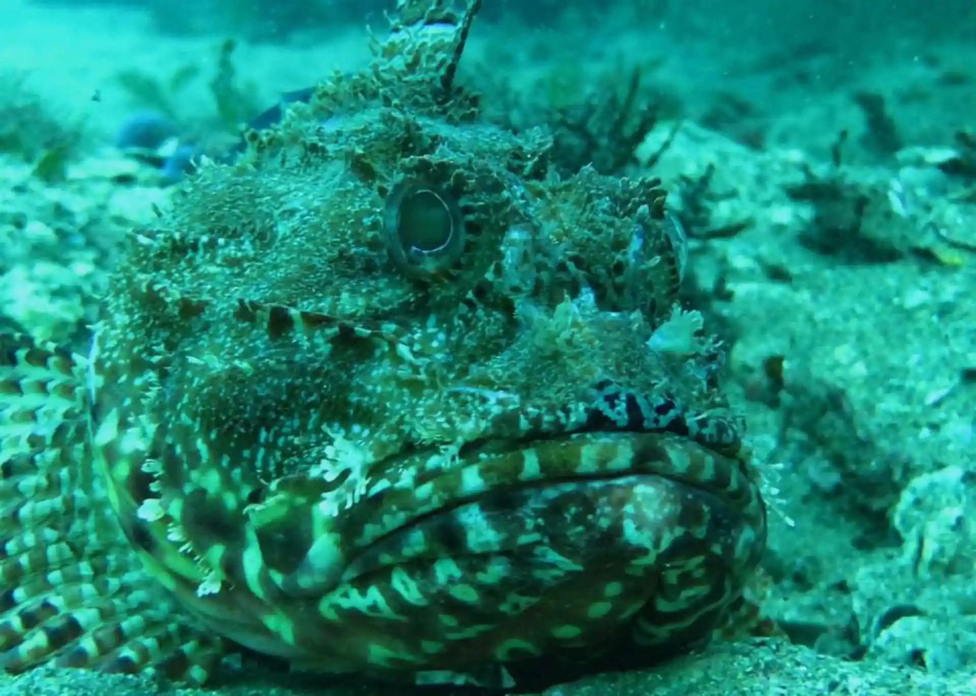 Dive site photo