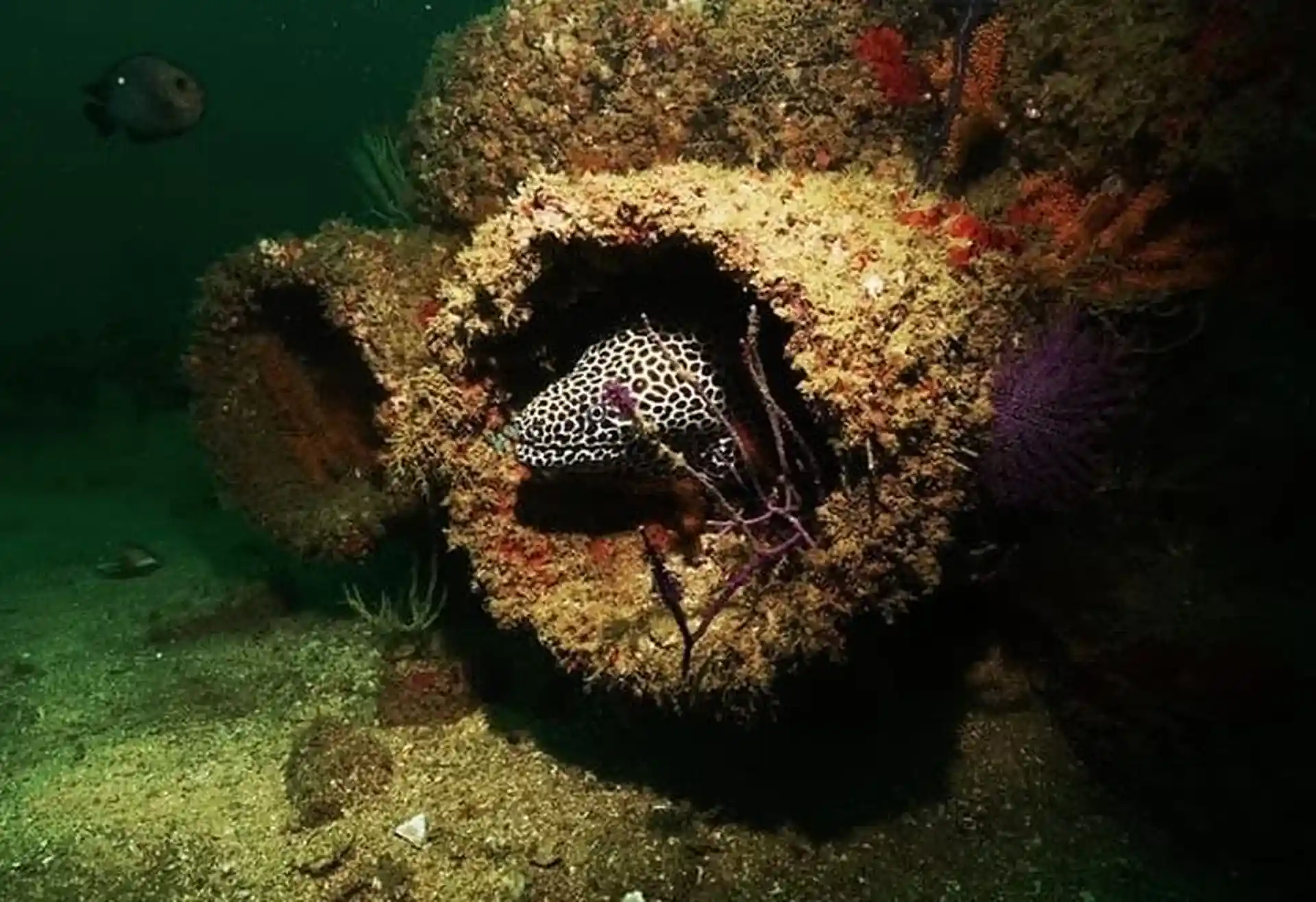 Dive site photo