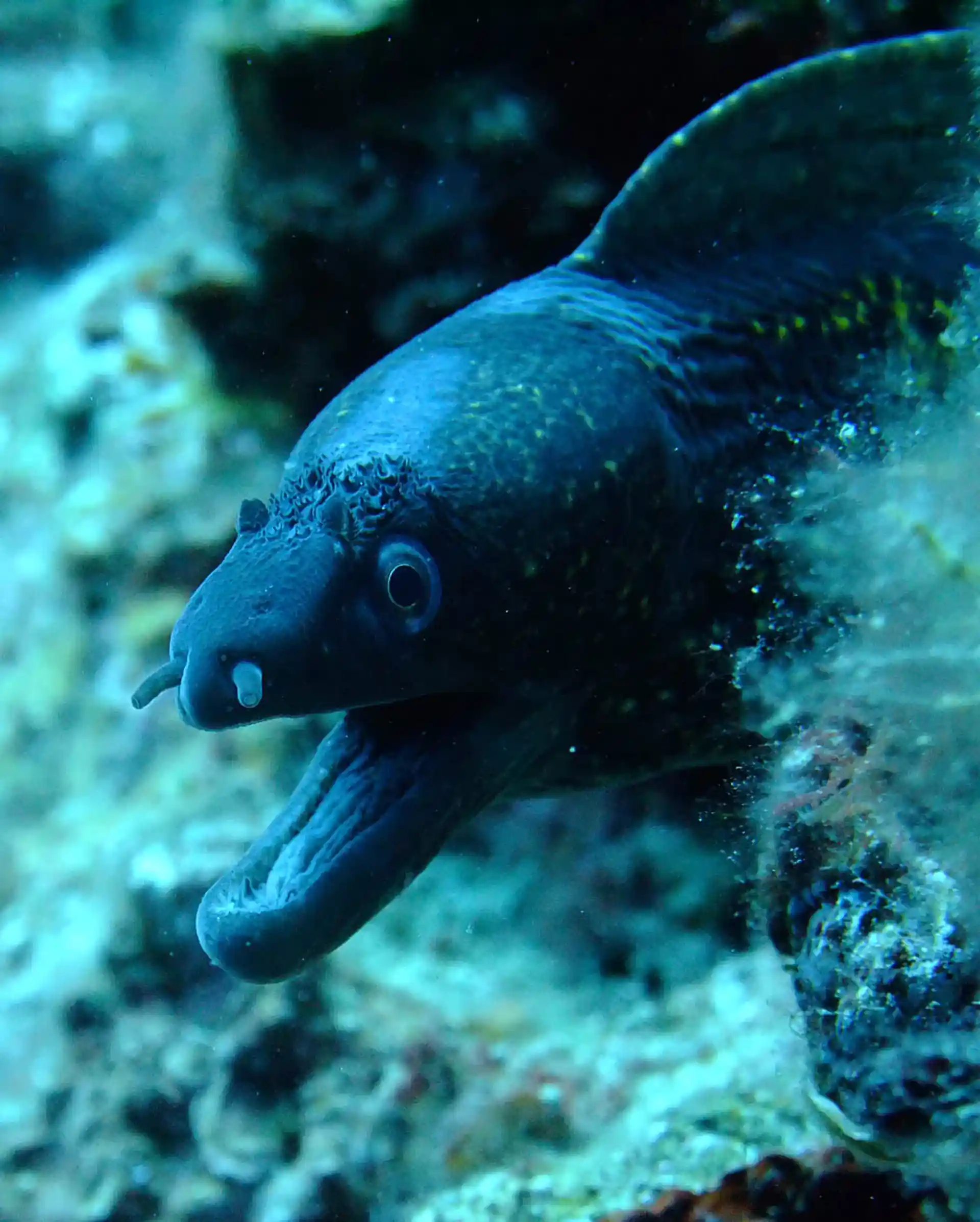 Photo de l'activité